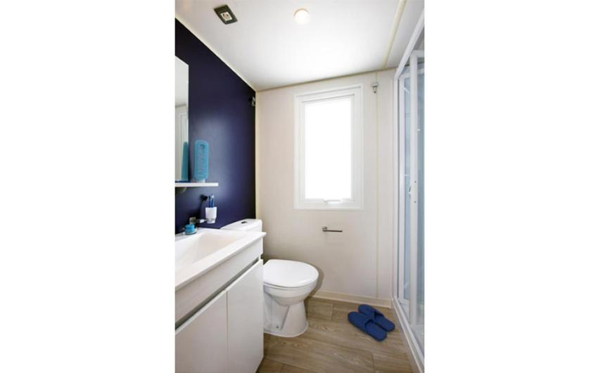 Mobile Home photo 3