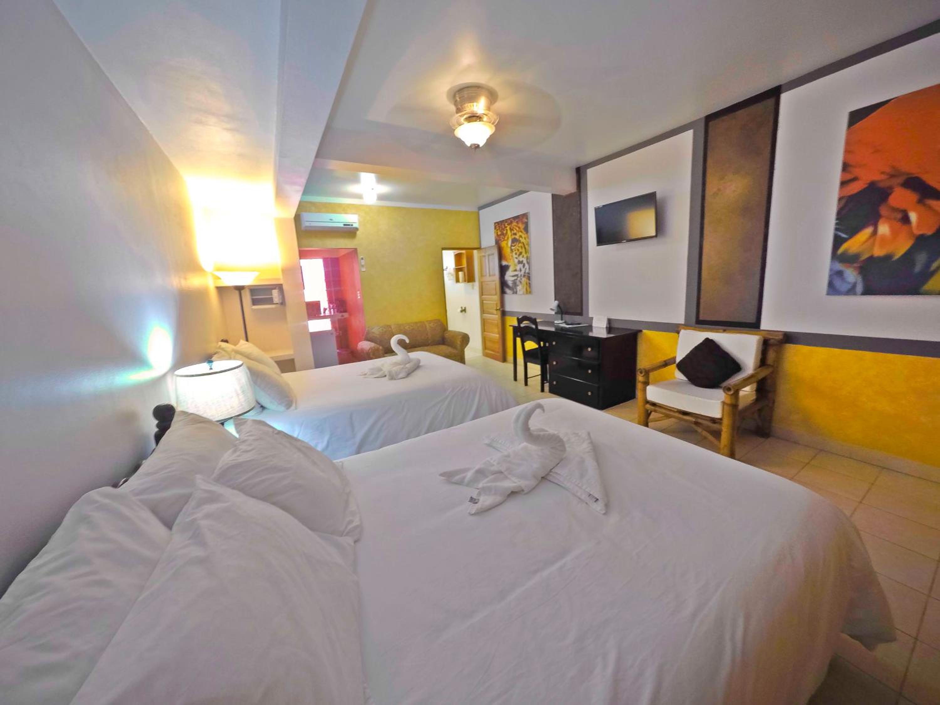 Deluxe Double Room photo 3