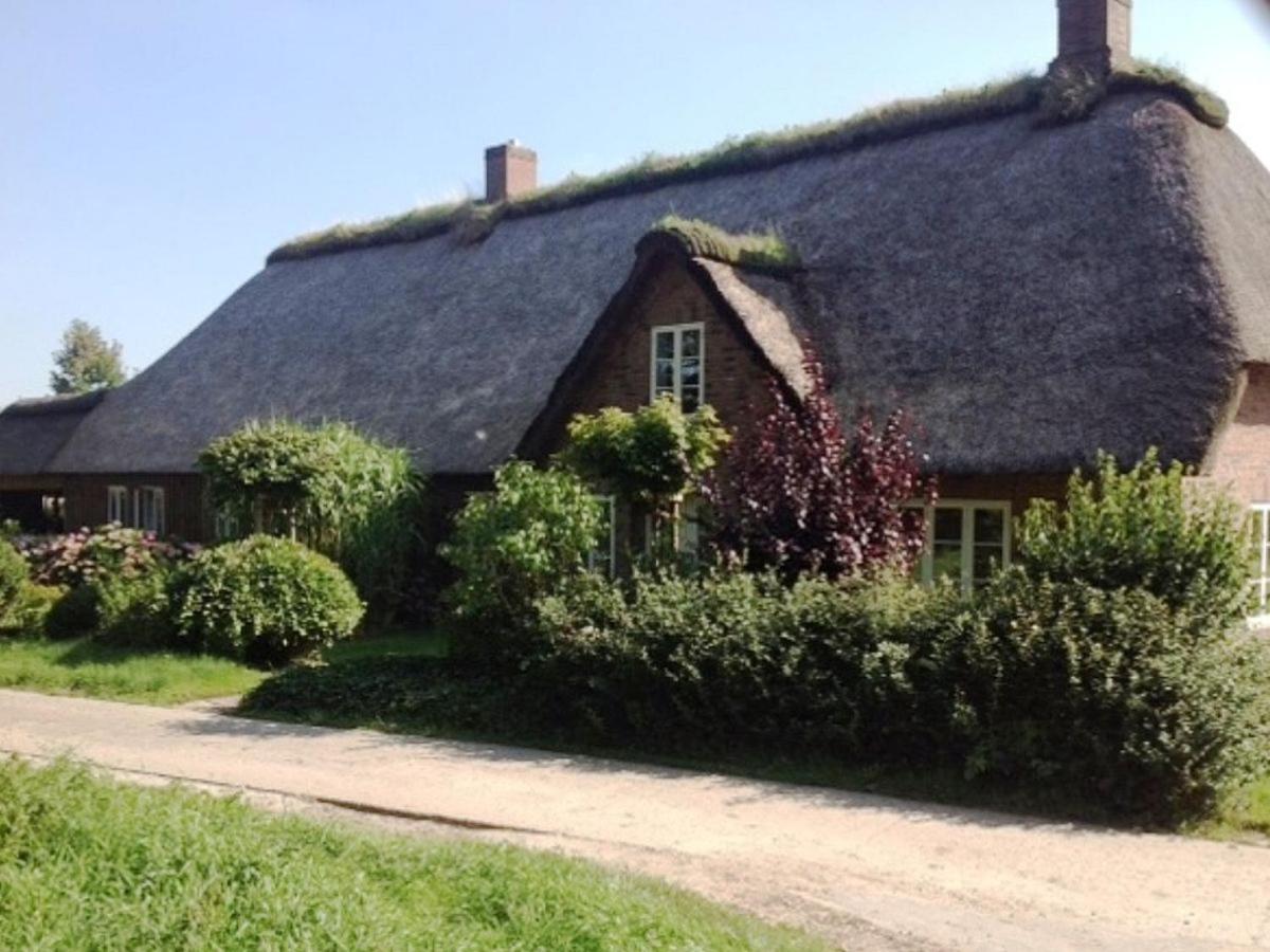 Five-Bedroom House - Photo 13