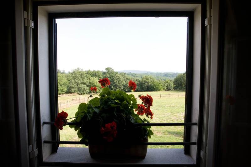 Two-Bedroom Apartment - Photo 8