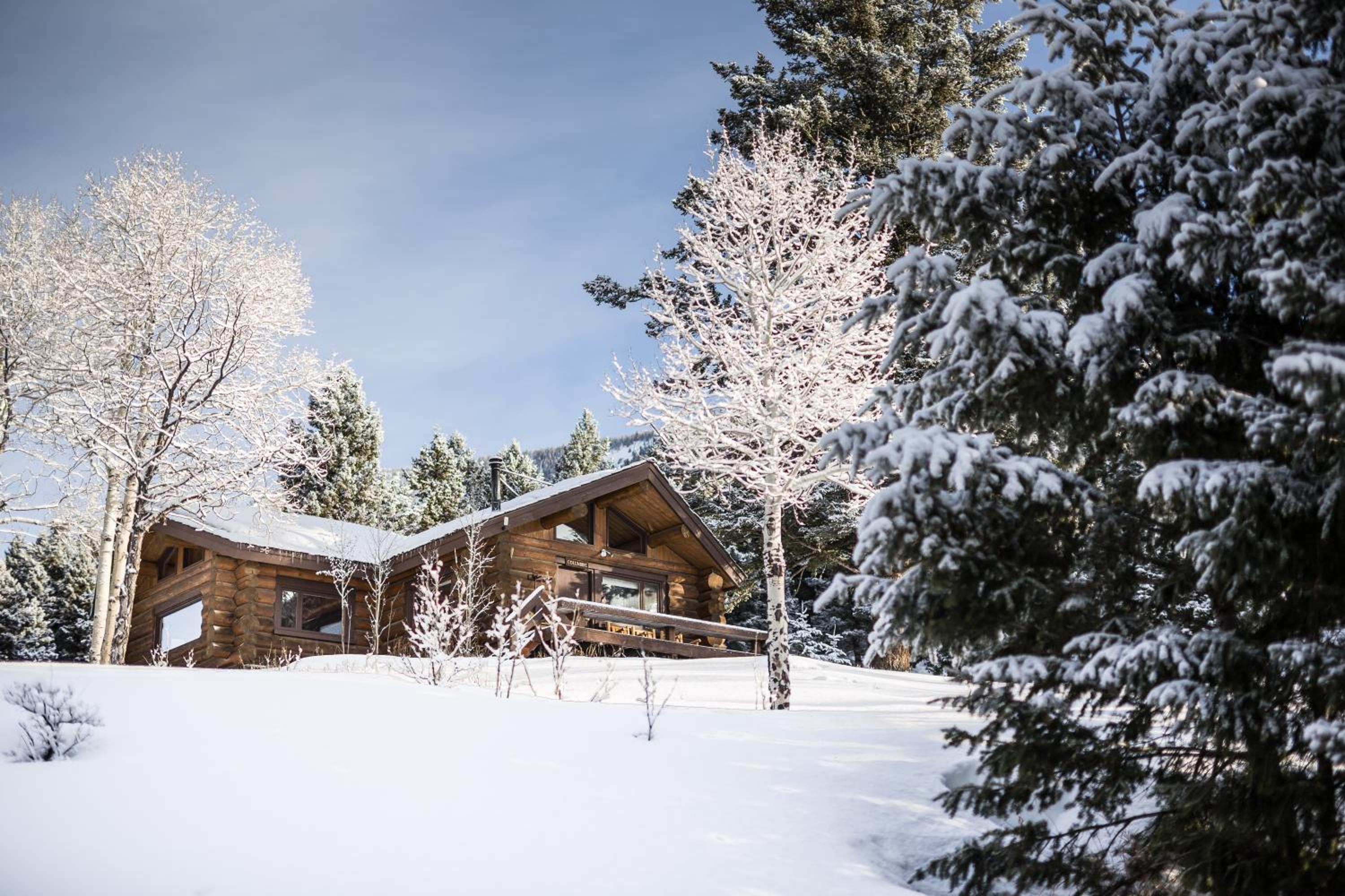 Aspen Cabin photo 2