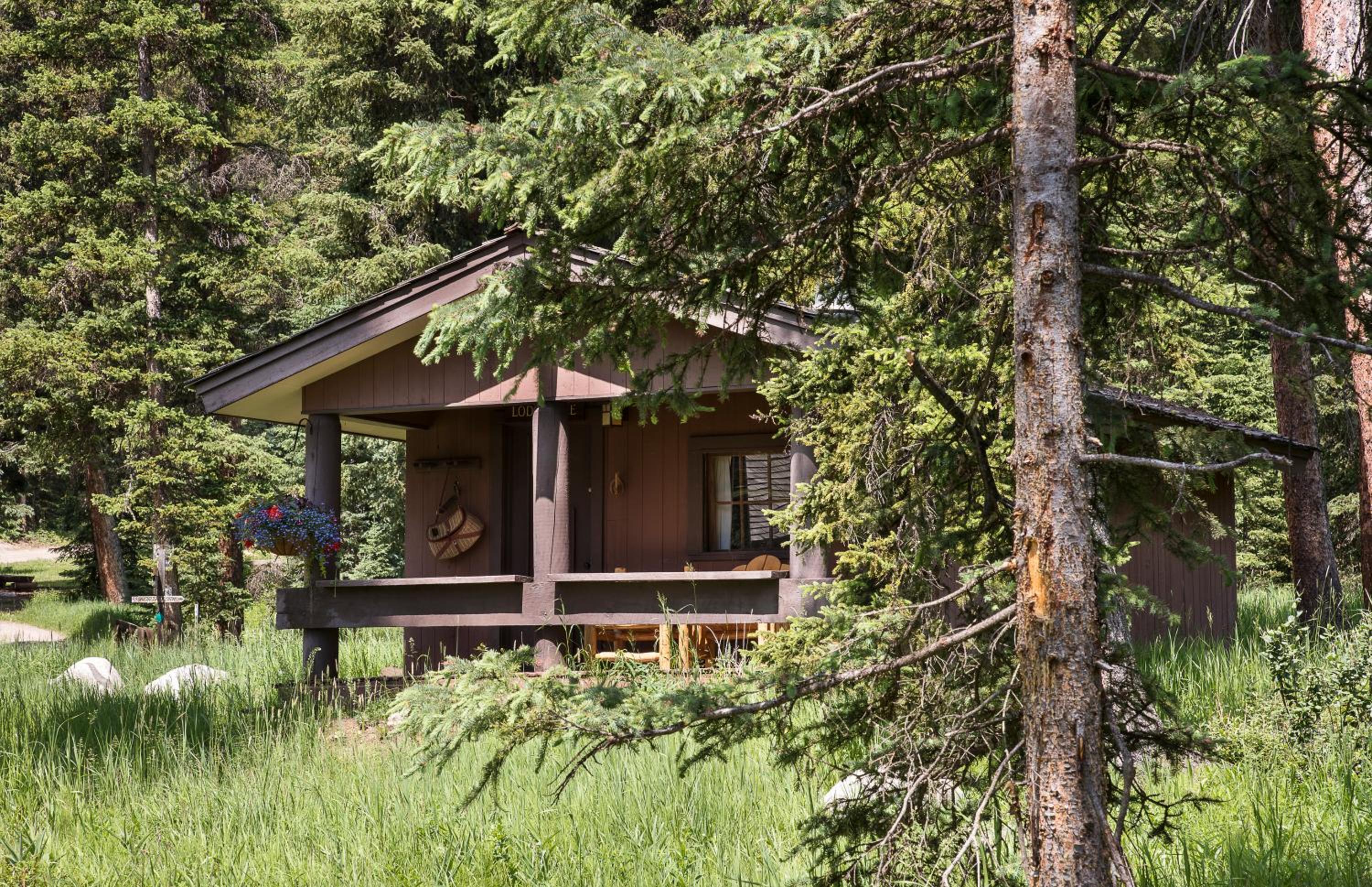Blue Spruce Cabin photo 2
