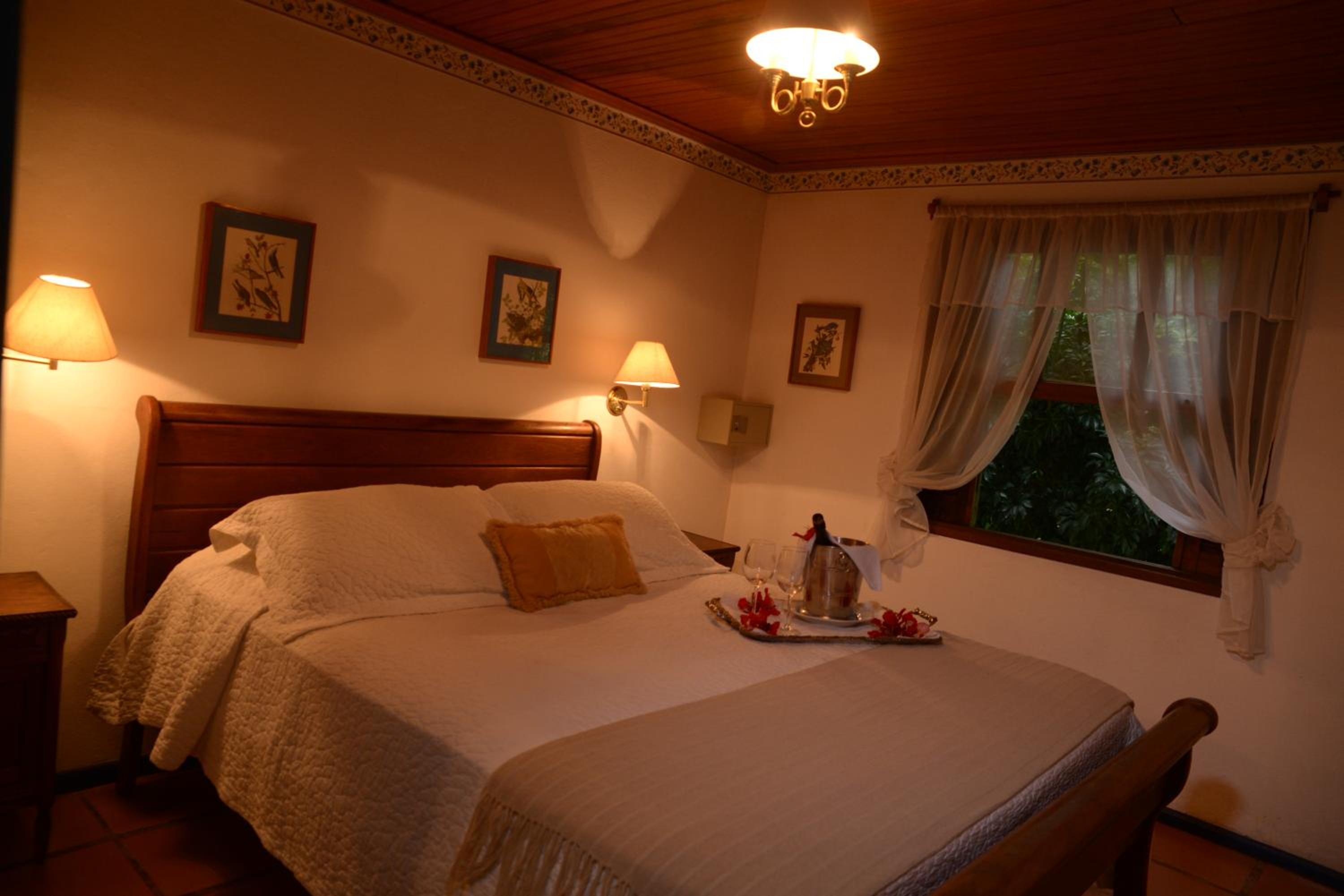 Premium Quadruple Room photo 1