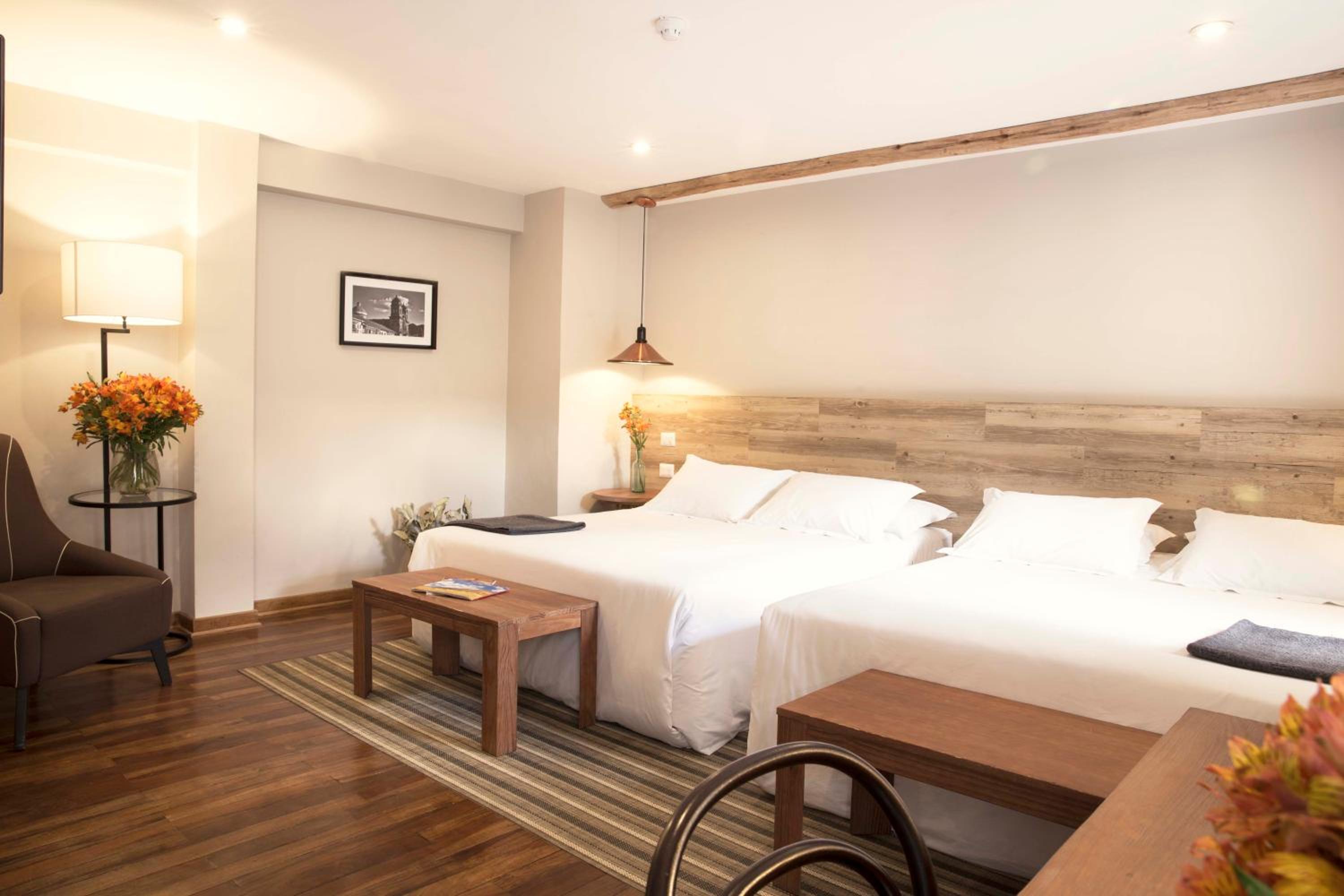 Grand Twin Room photo 1