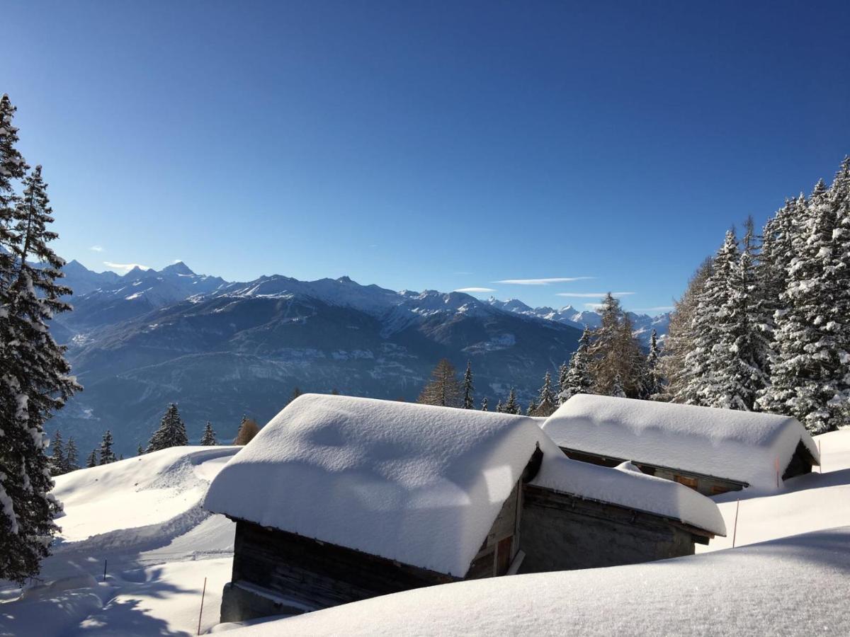 Chalet - Photo 17