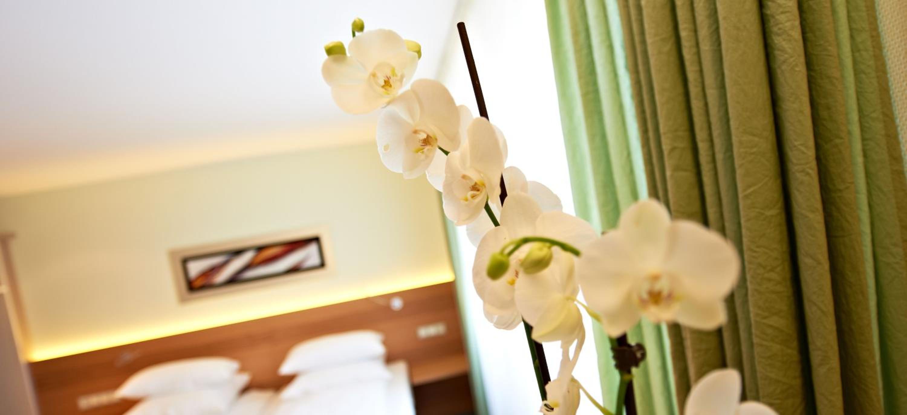Junior Suite Deluxe - Photo 2