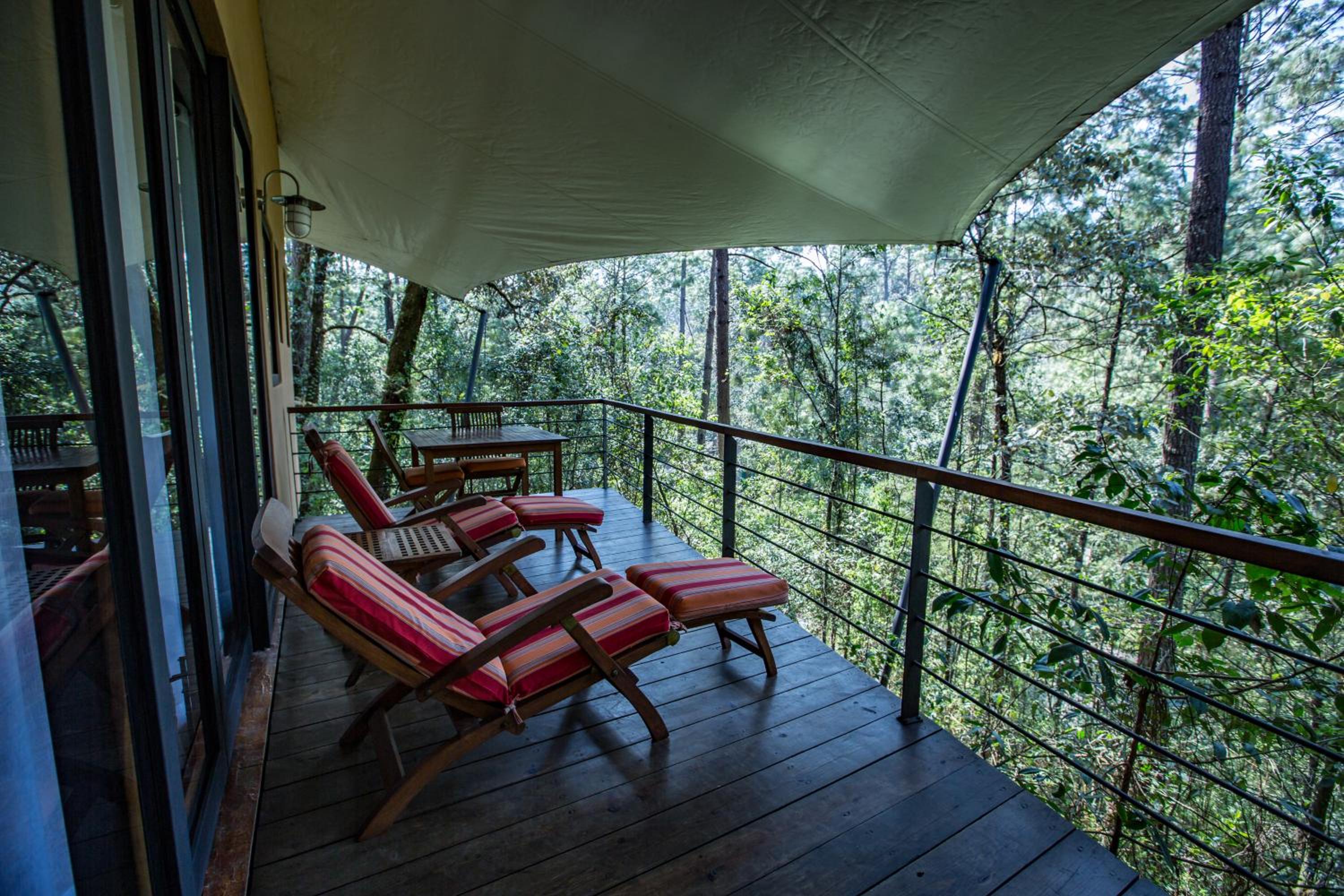 King Suite - Photo 6