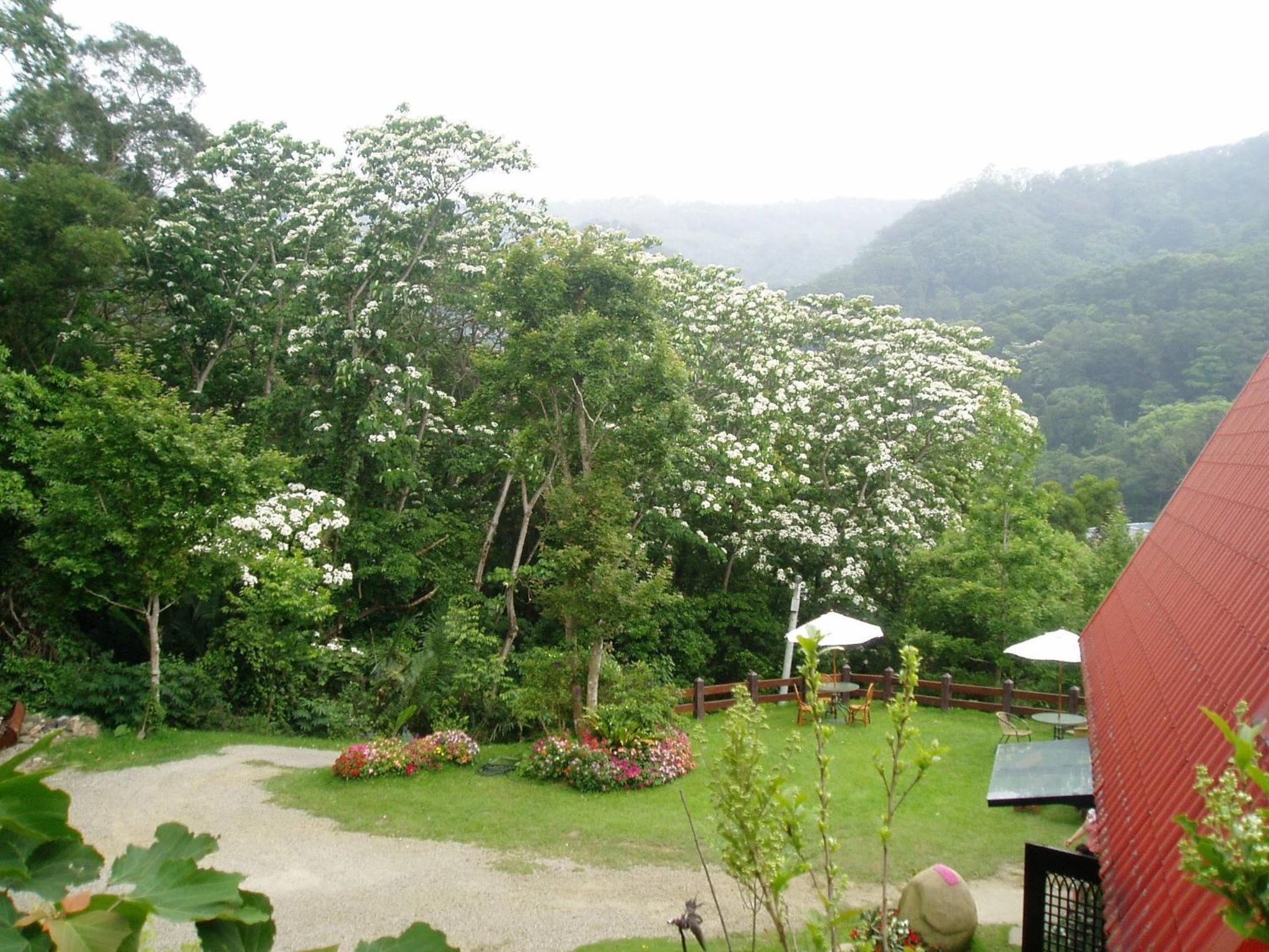 Quadruple Room with Mountain View photo 2