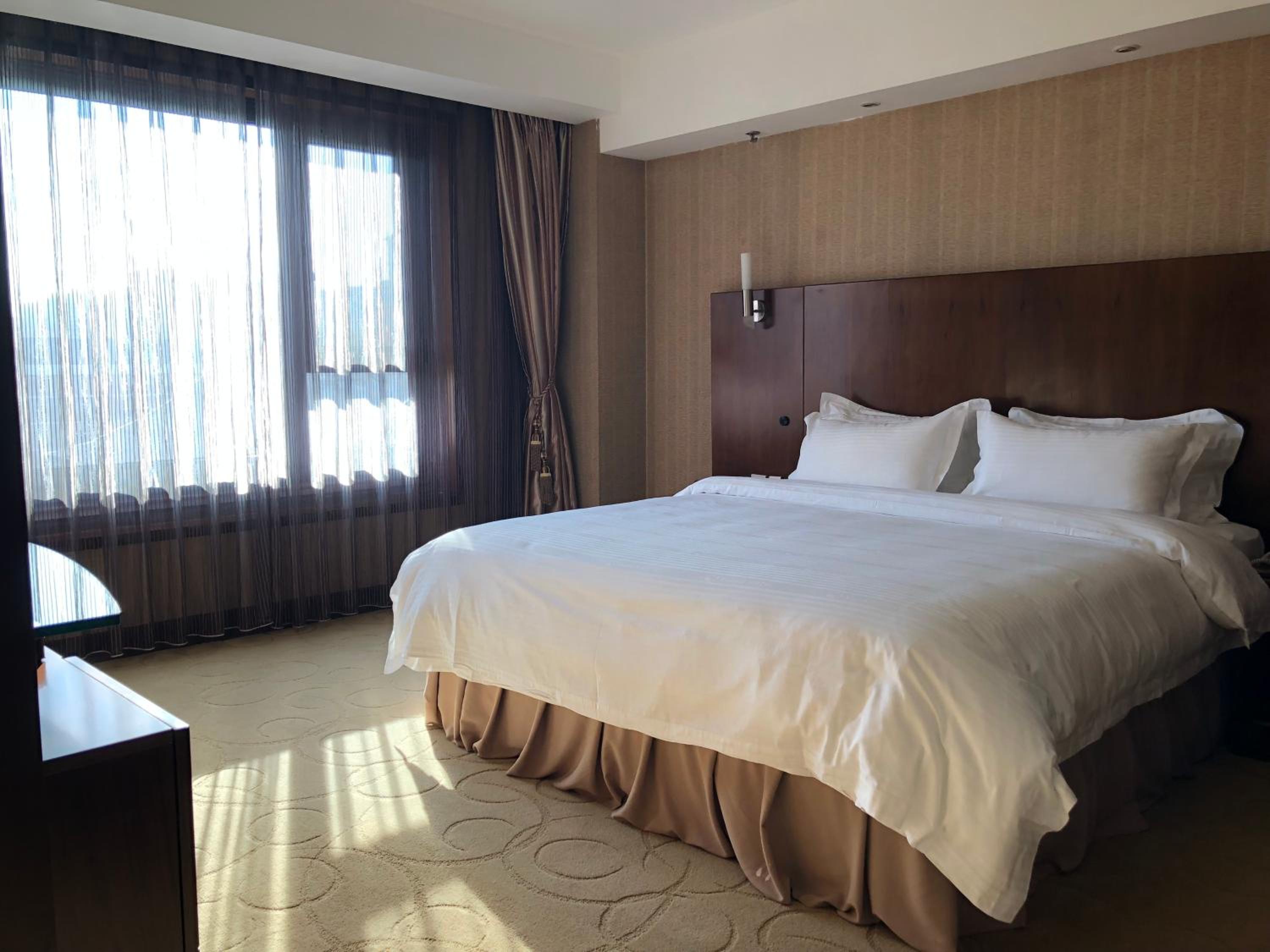 Executive Suite - Photo 4