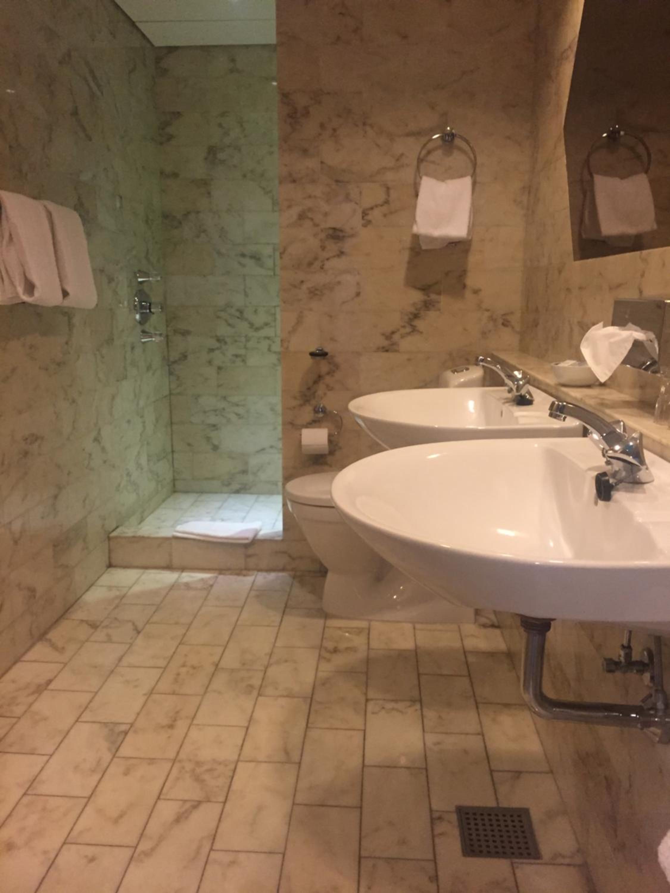 Business Double or Twin Room photo 3