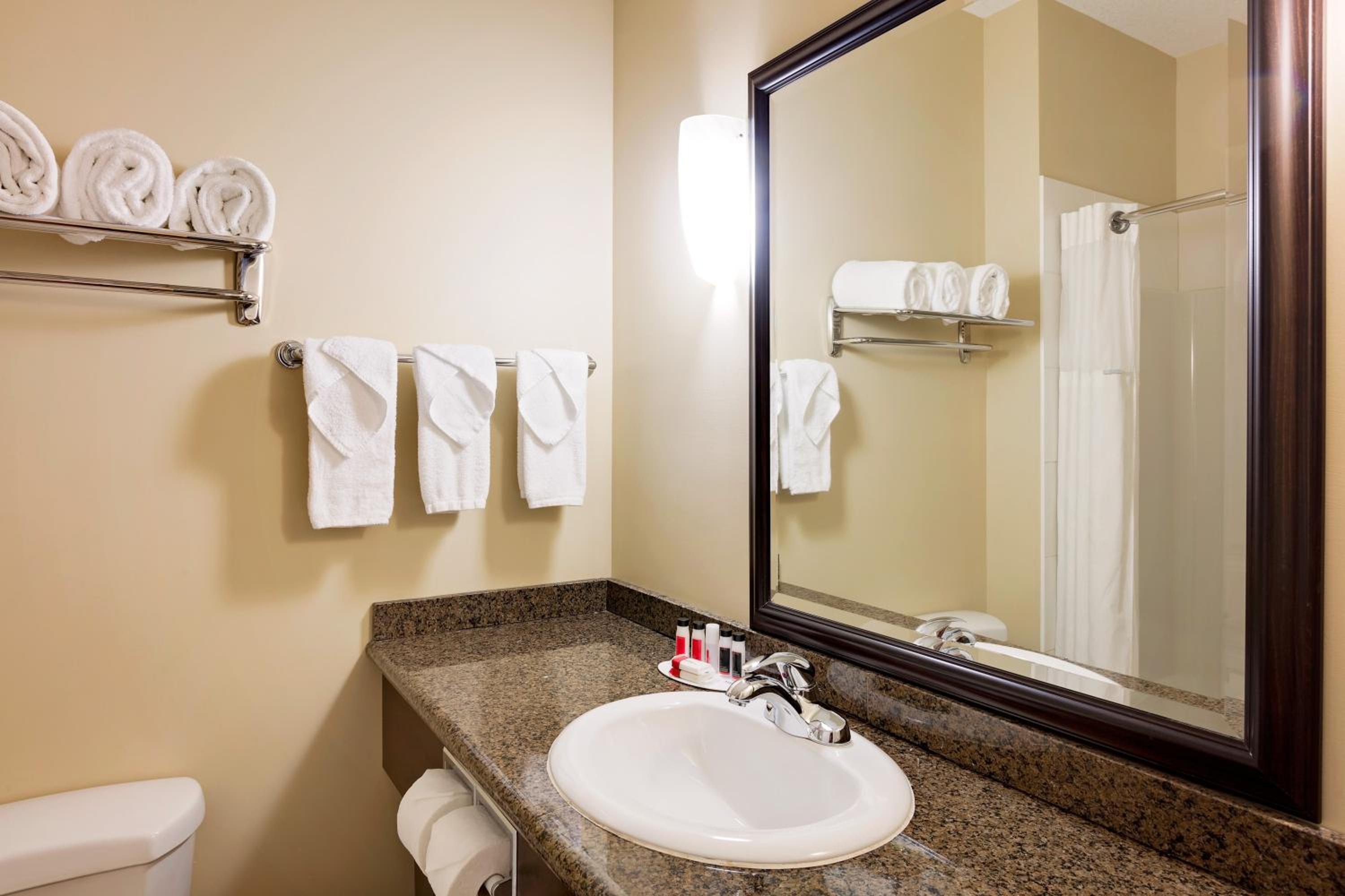 Deluxe King Suite - Photo 4