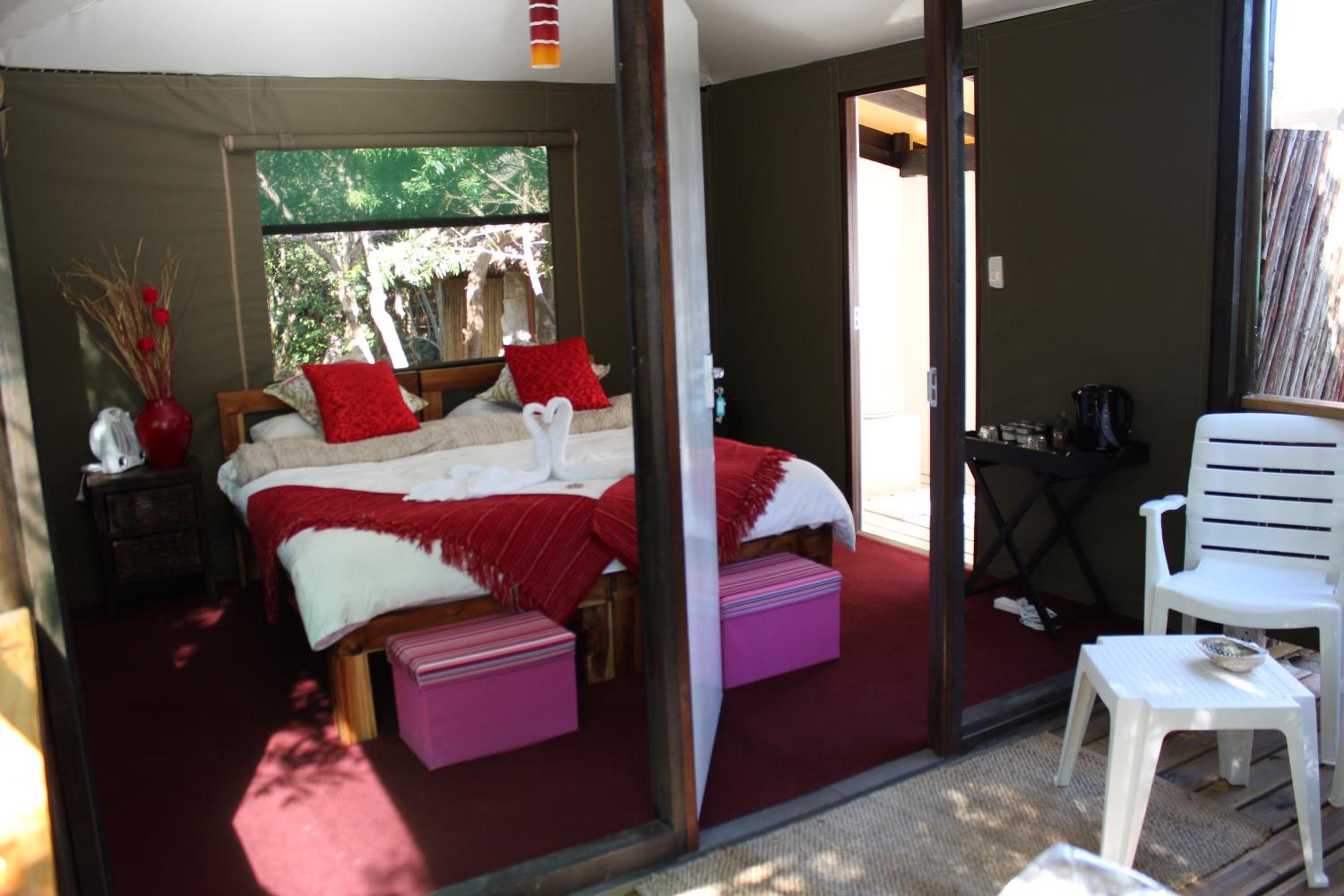 King Room photo 1