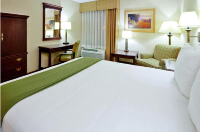 King Room - Mobility Access/Hearing Accessible - Photo 1