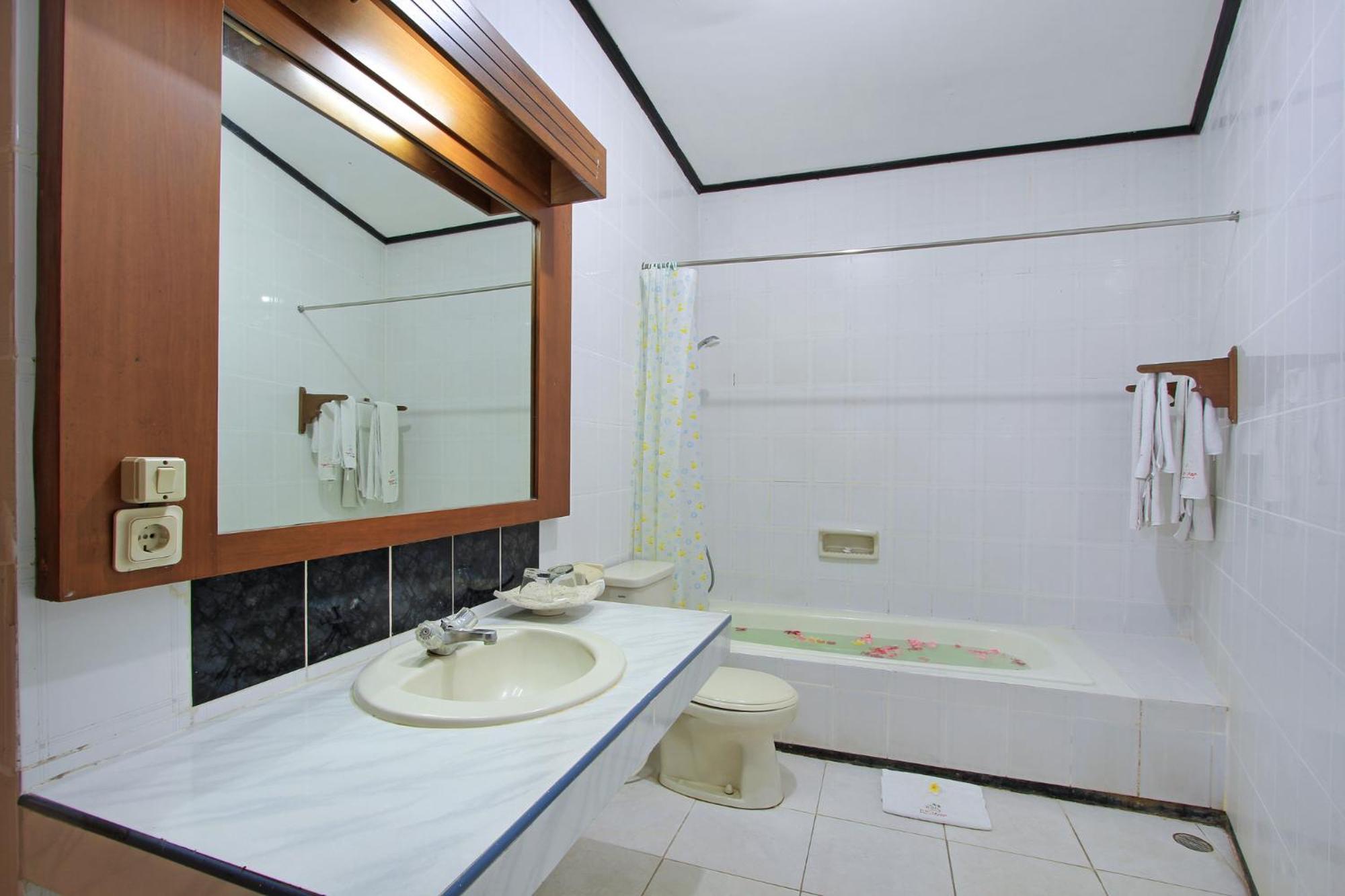 Deluxe Double or Twin Room - Photo 20