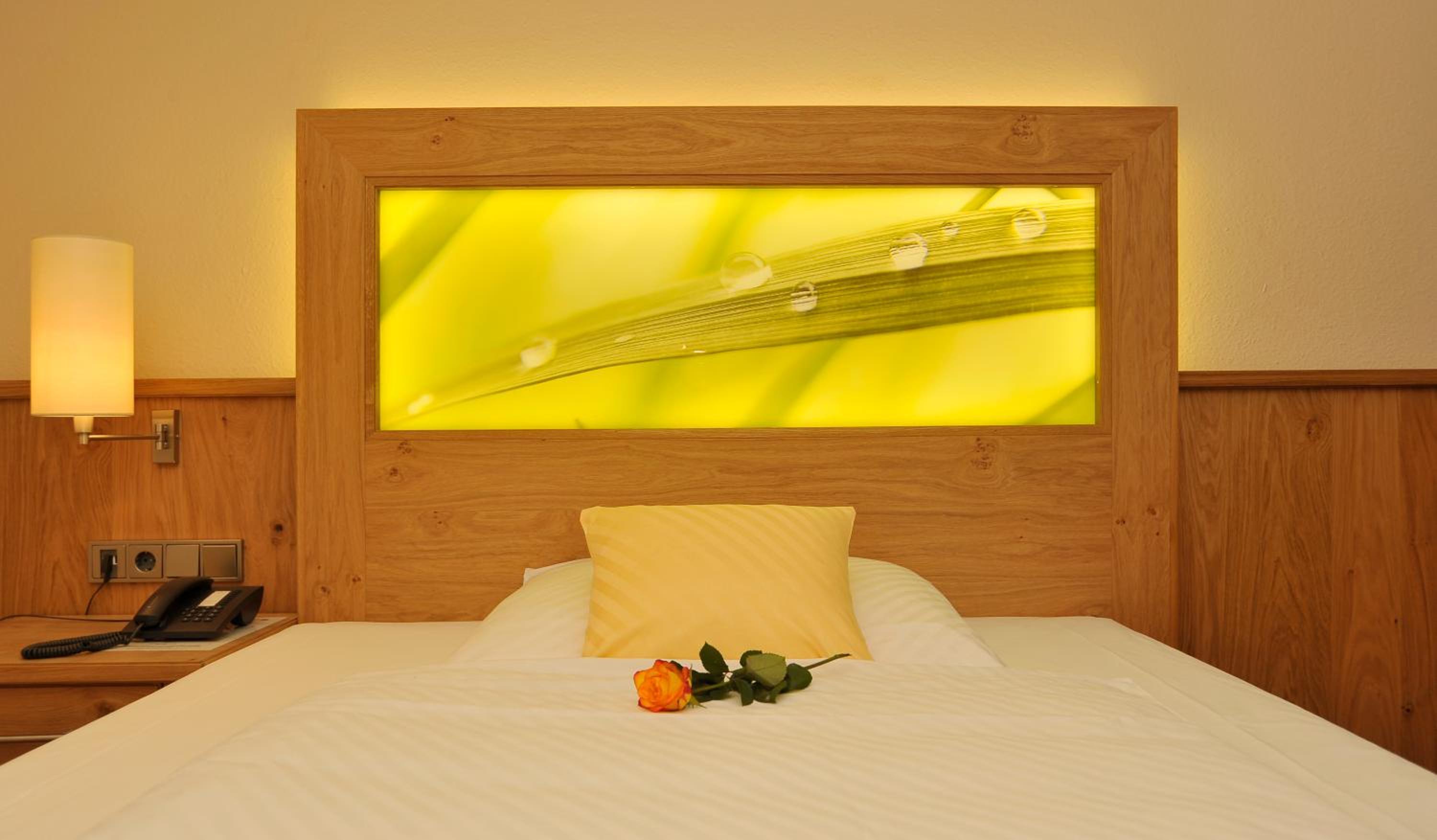 Single Room photo 3