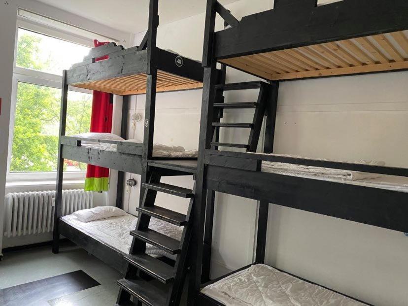 Bed in 8-Bed Dormitory Room