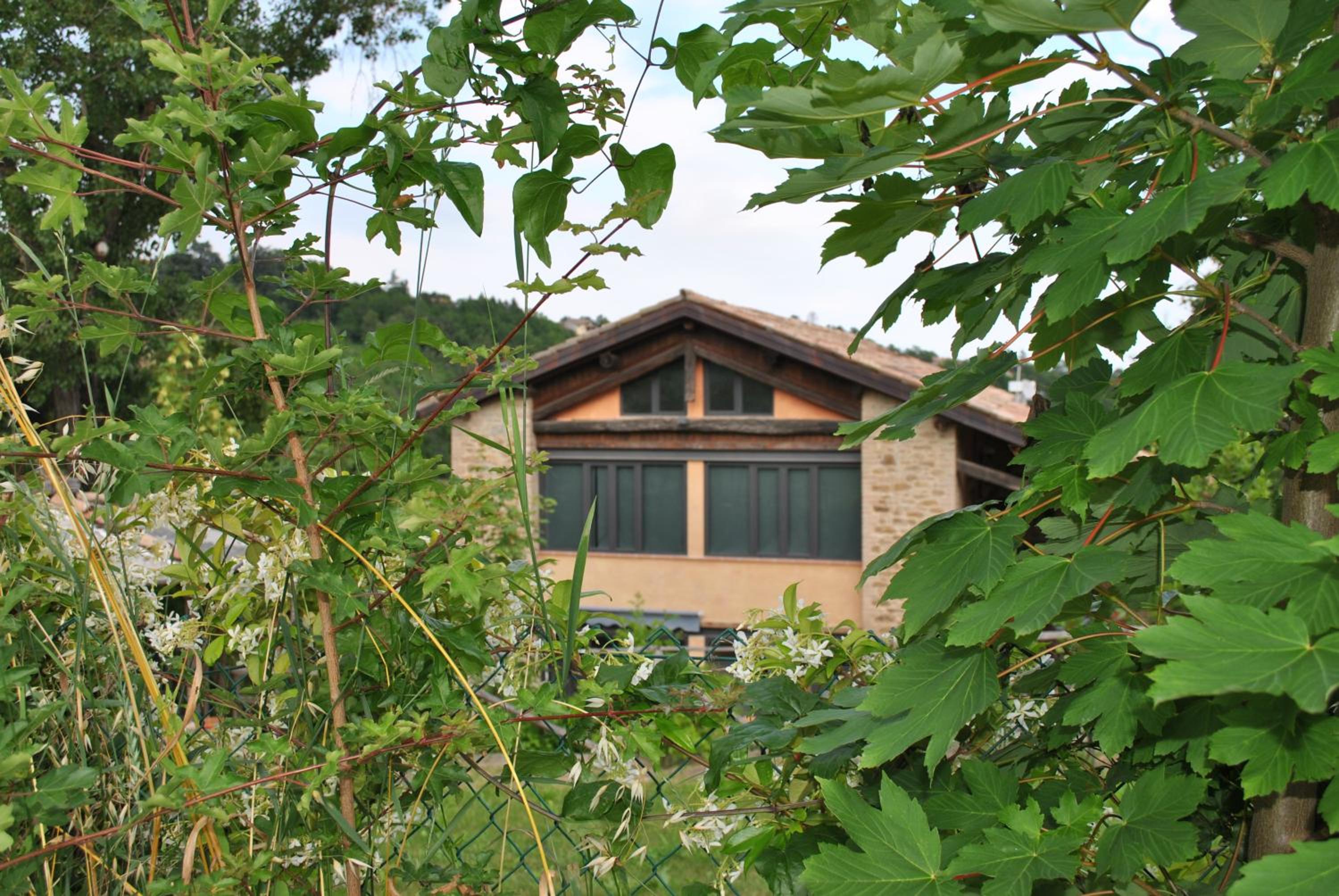 King Room with Garden View - Photo 7
