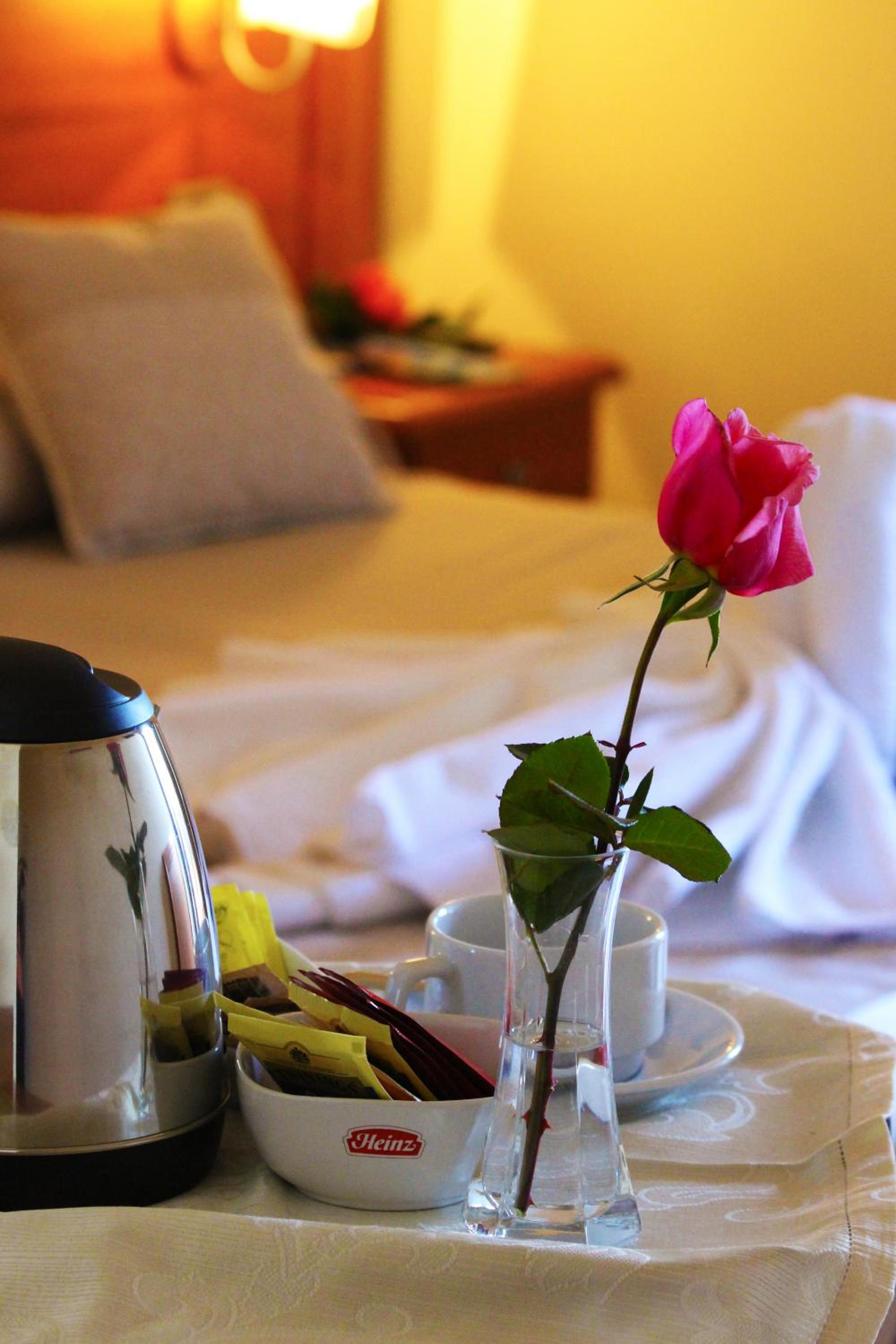 Superior Double or Twin Room - Photo 2