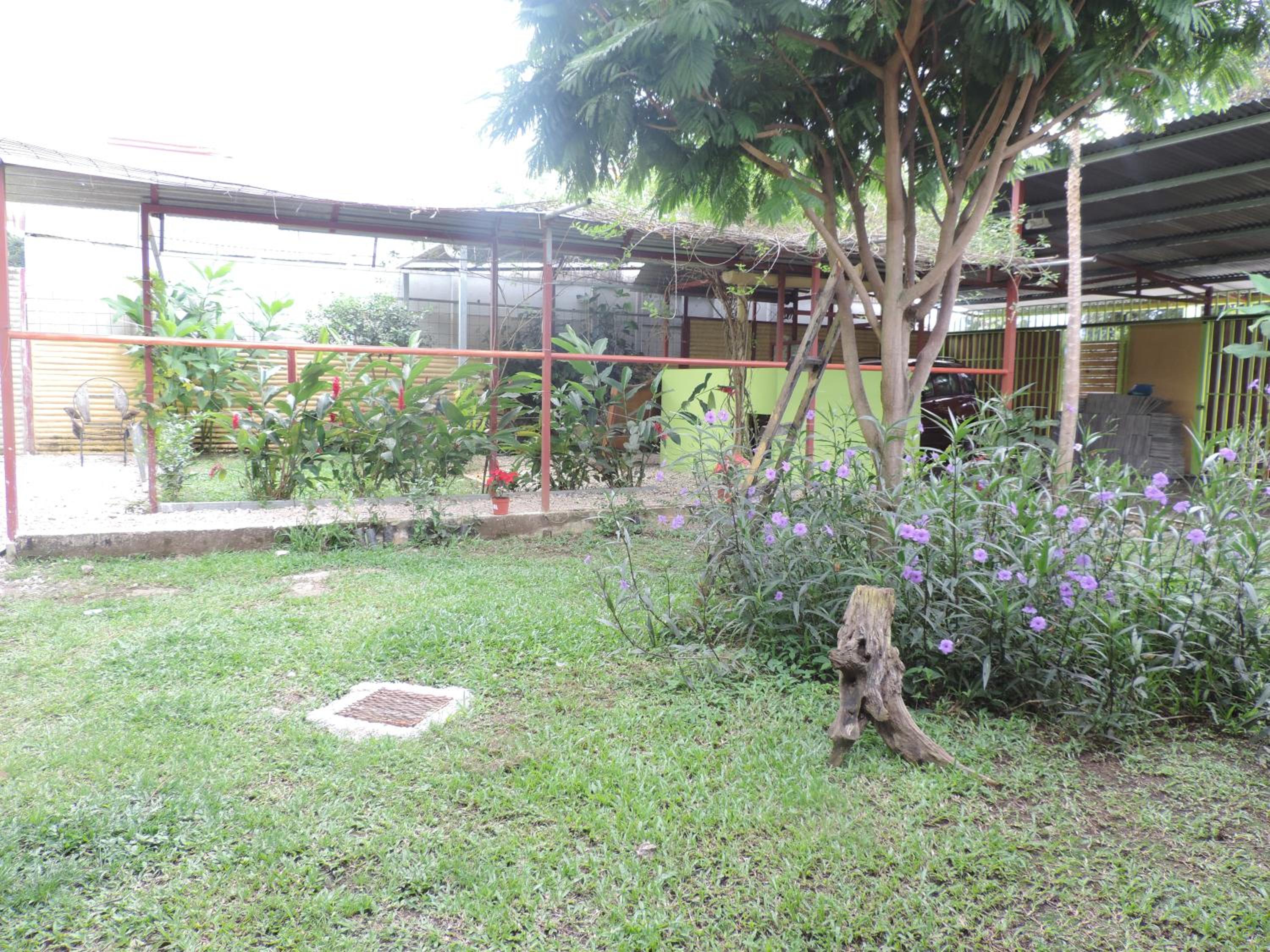 Queen Room with Garden View photo 3