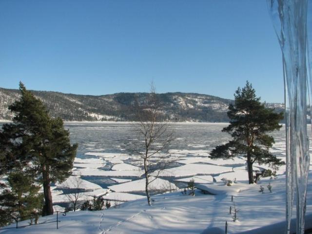 两卧室公寓