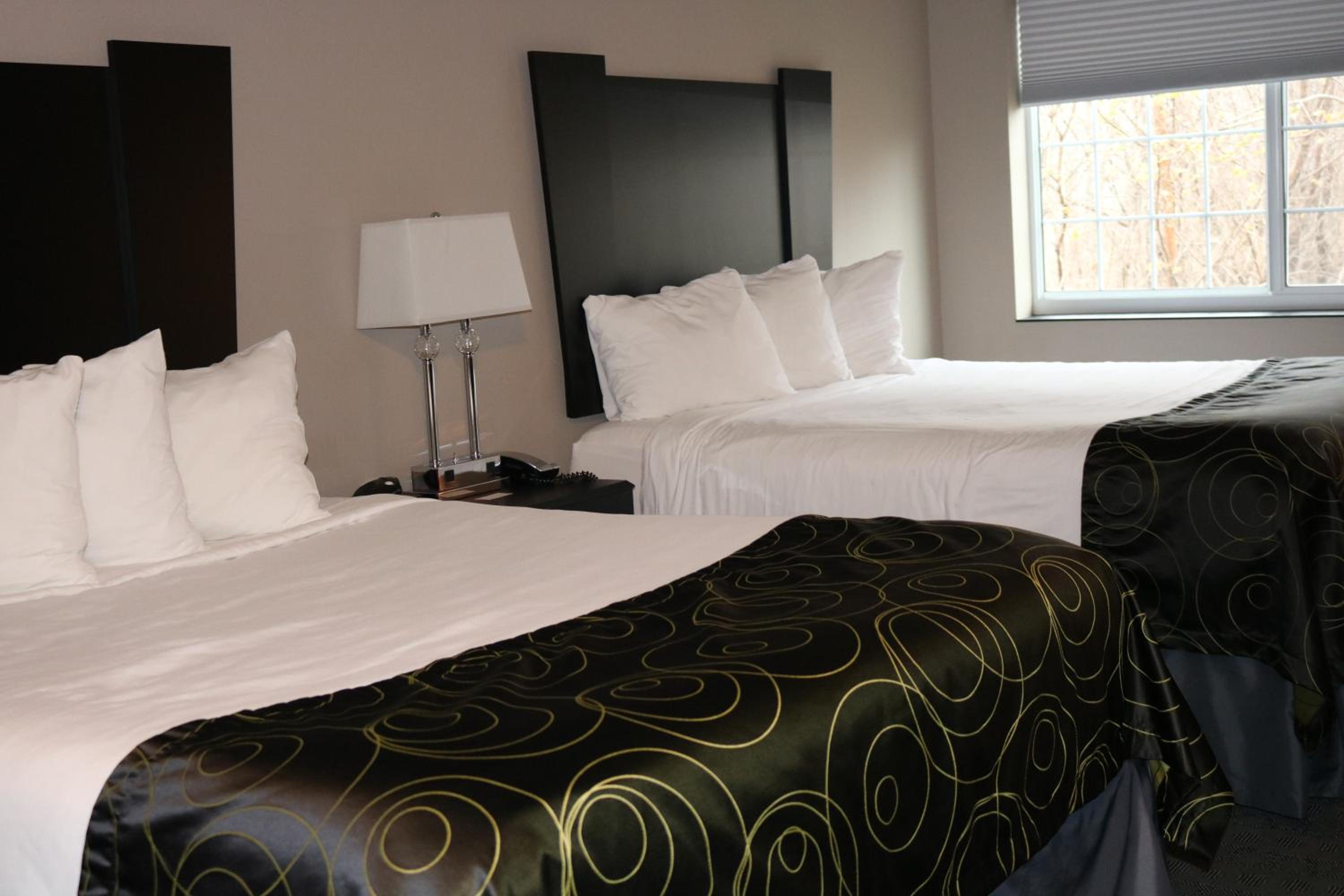 Queen Room with Two Queen Beds - Non-Smoking photo 1