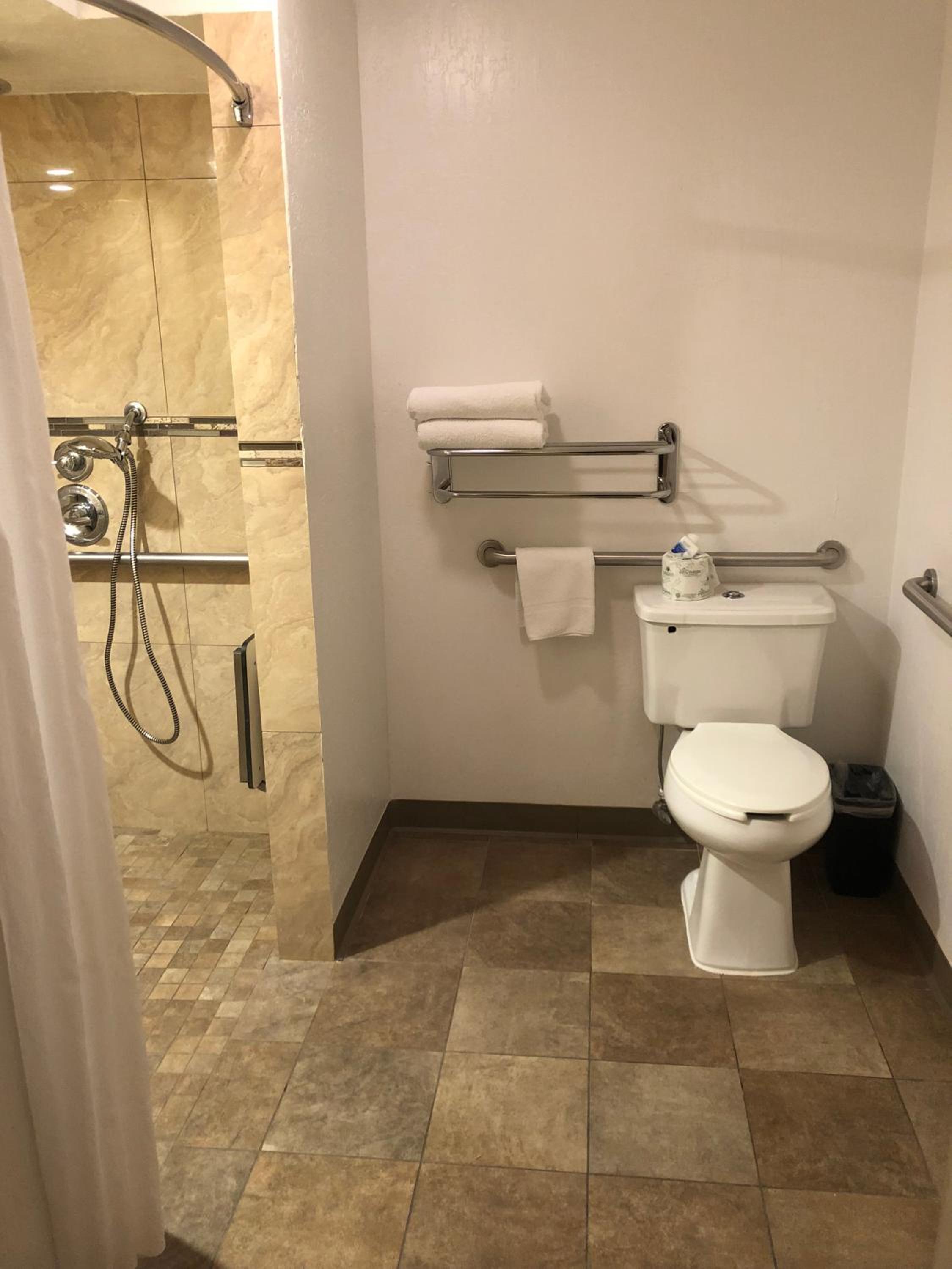 Queen Room - Mobility Access - Photo 5