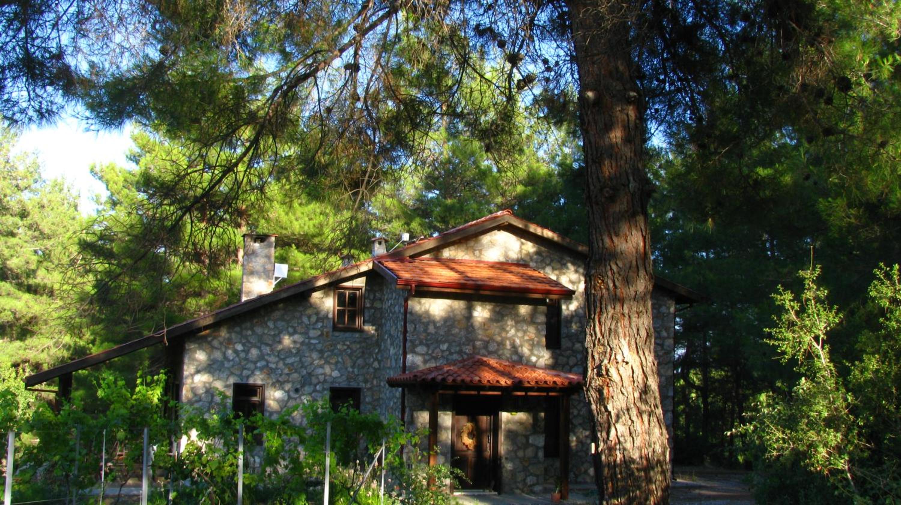Villa photo 3