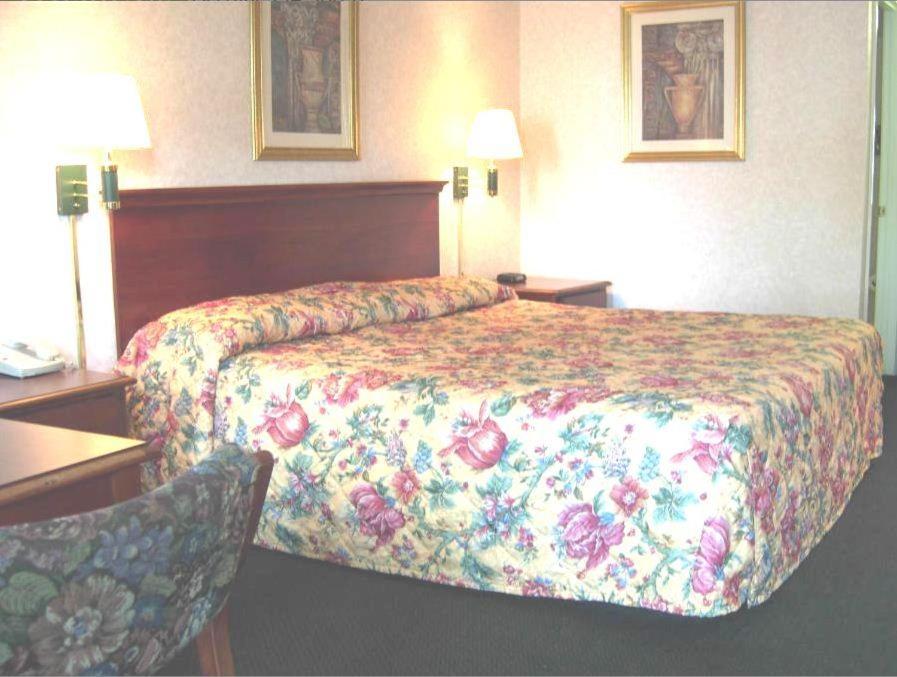 King Room - Non-Smoking