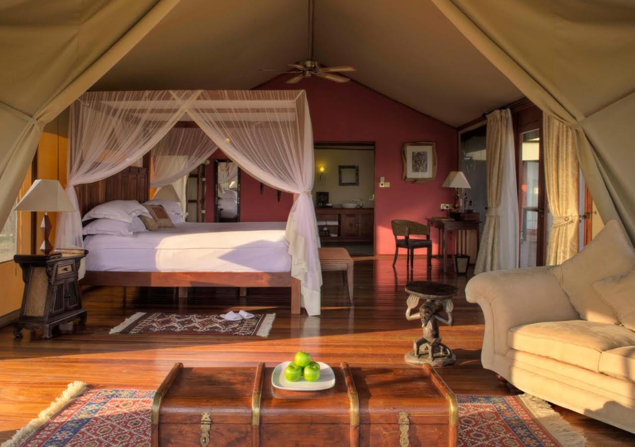 Deluxe Tent with 1 King Bed photo 2