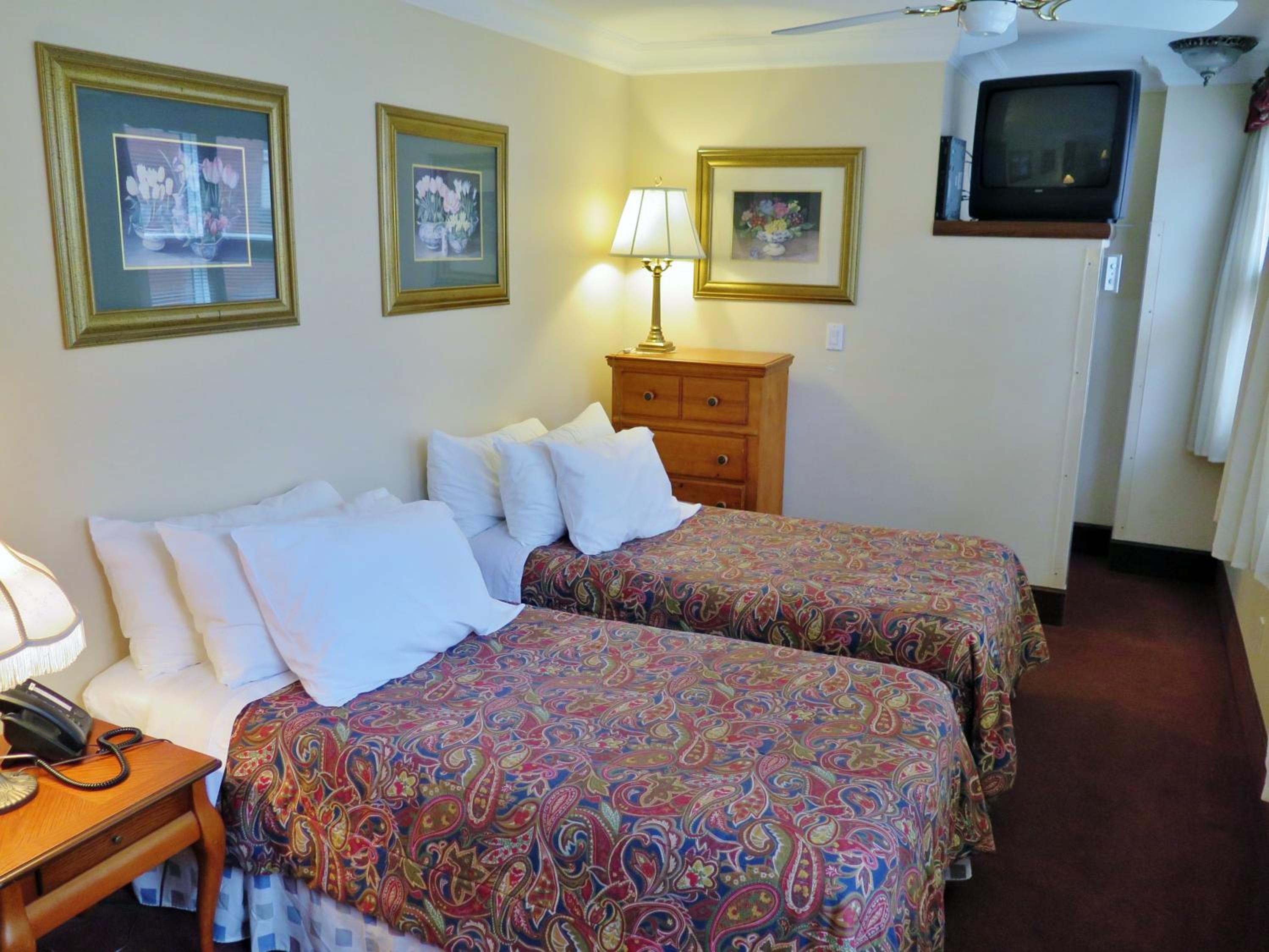 Standard Twin Room - Photo 2