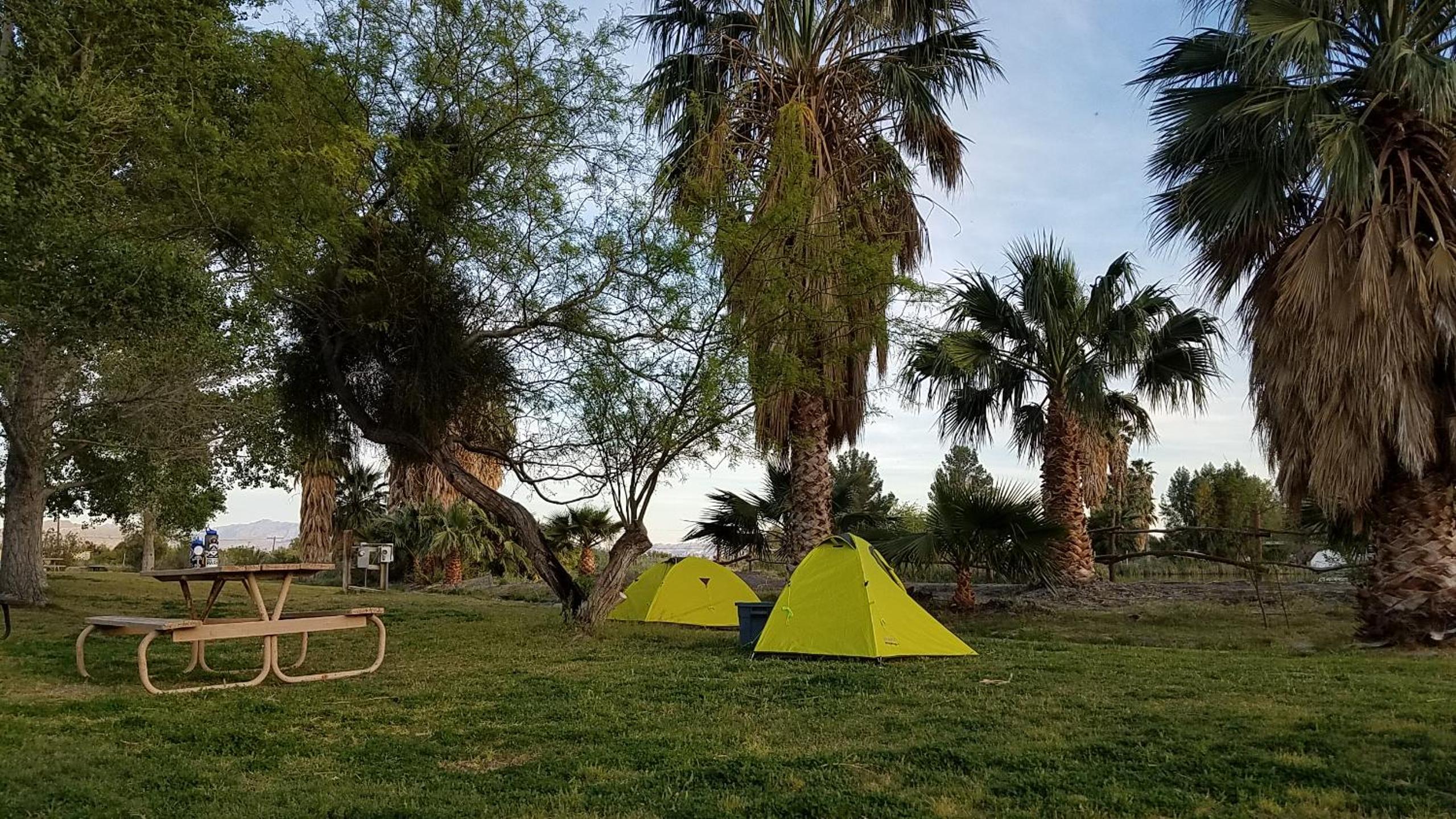 Tent Site (No Tent or Bed Included) photo 2
