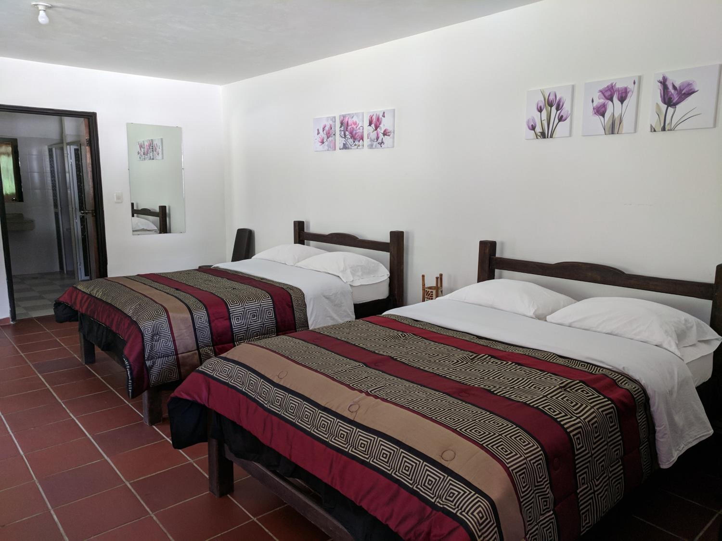 Quadruple Room photo 1