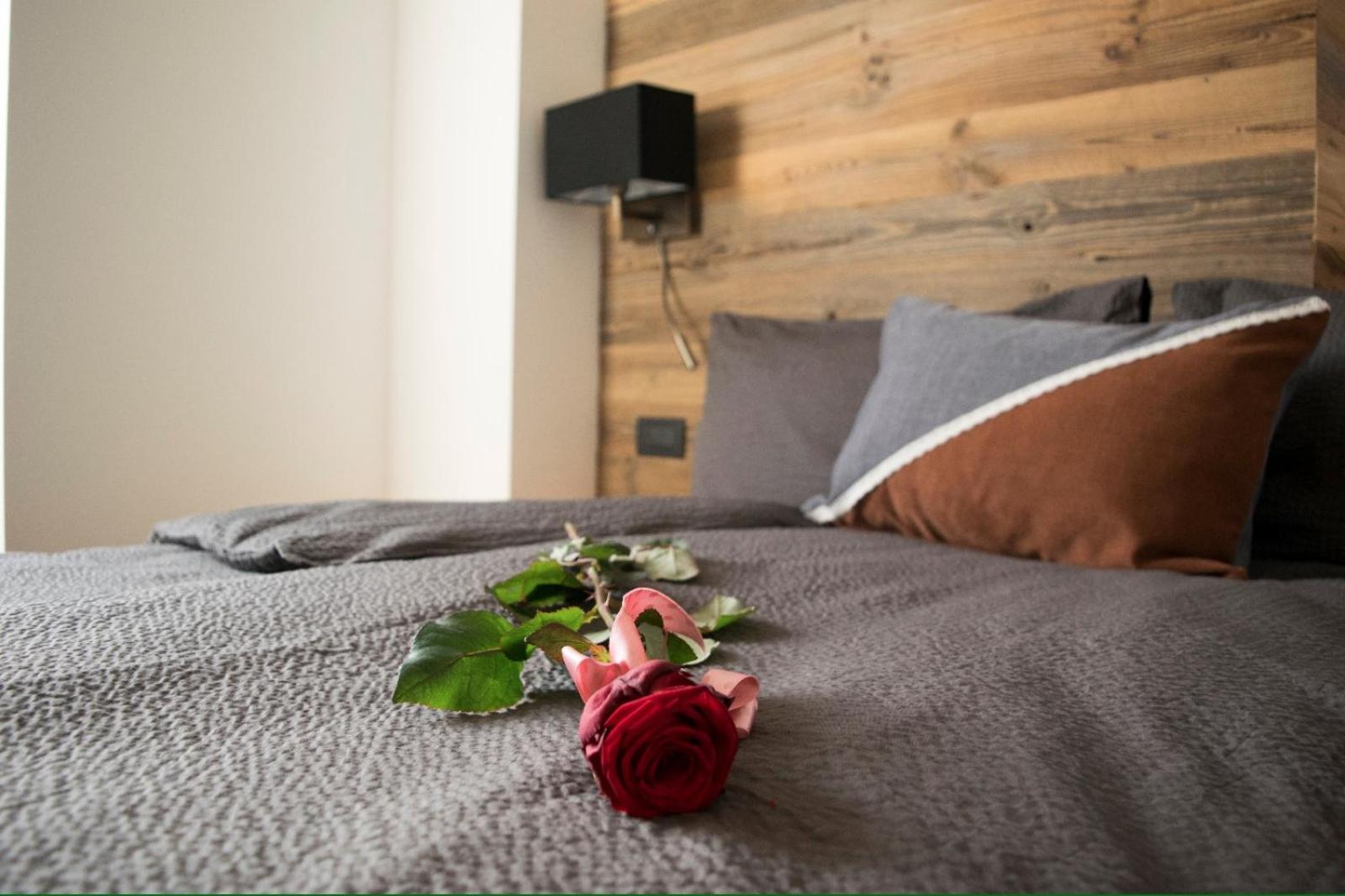 Double or Twin Room photo 1