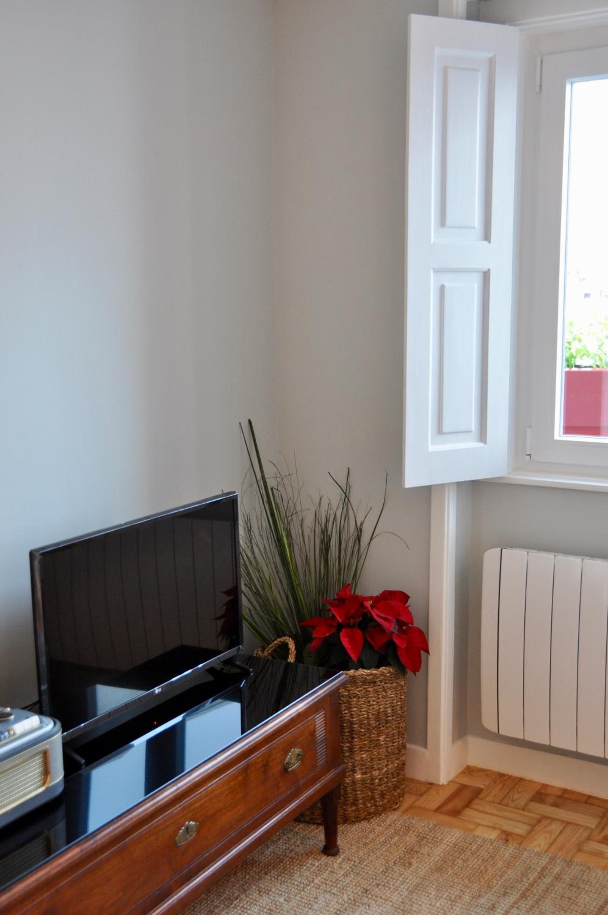 Apartment with Terrace photo 1