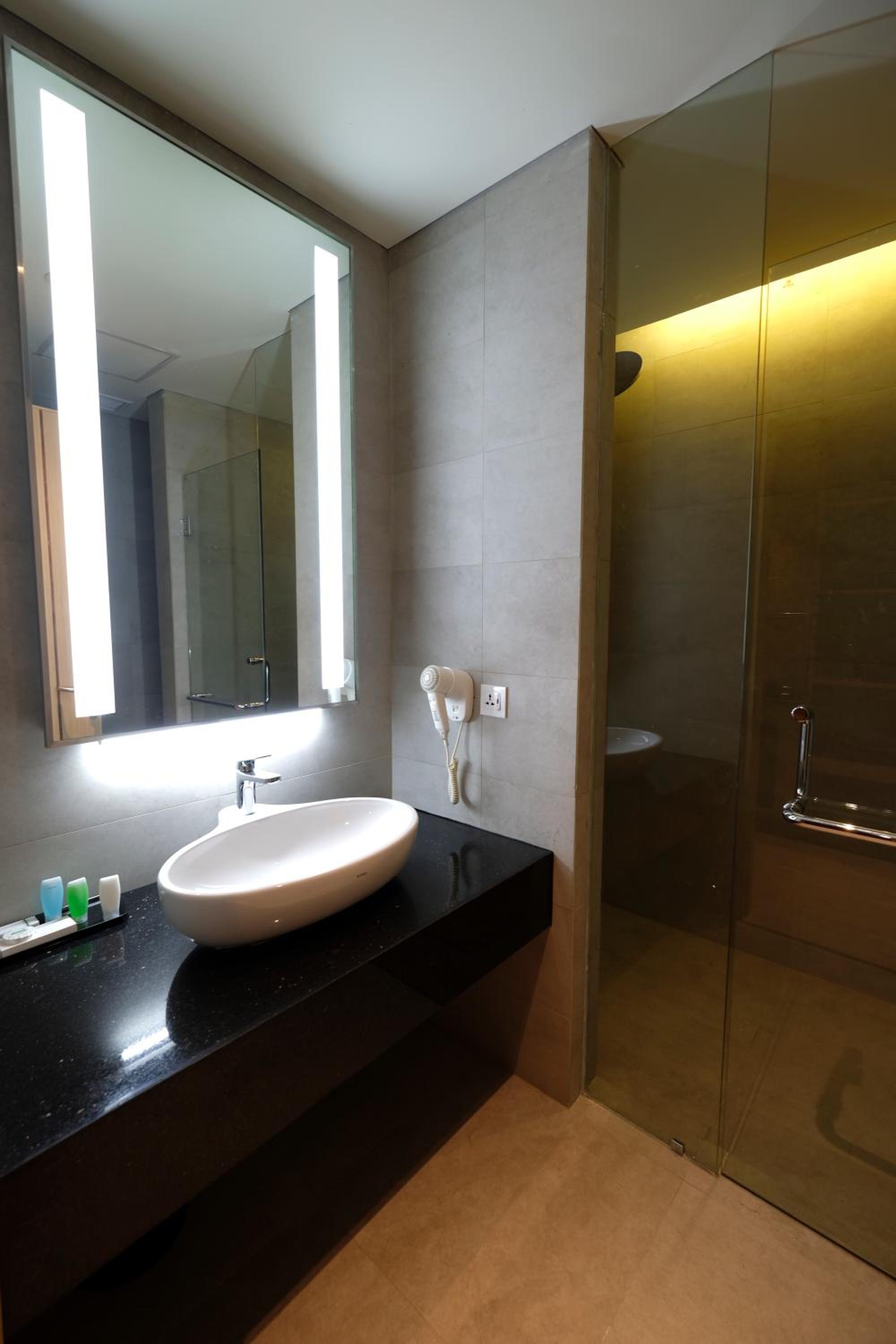 Deluxe Room King photo 3