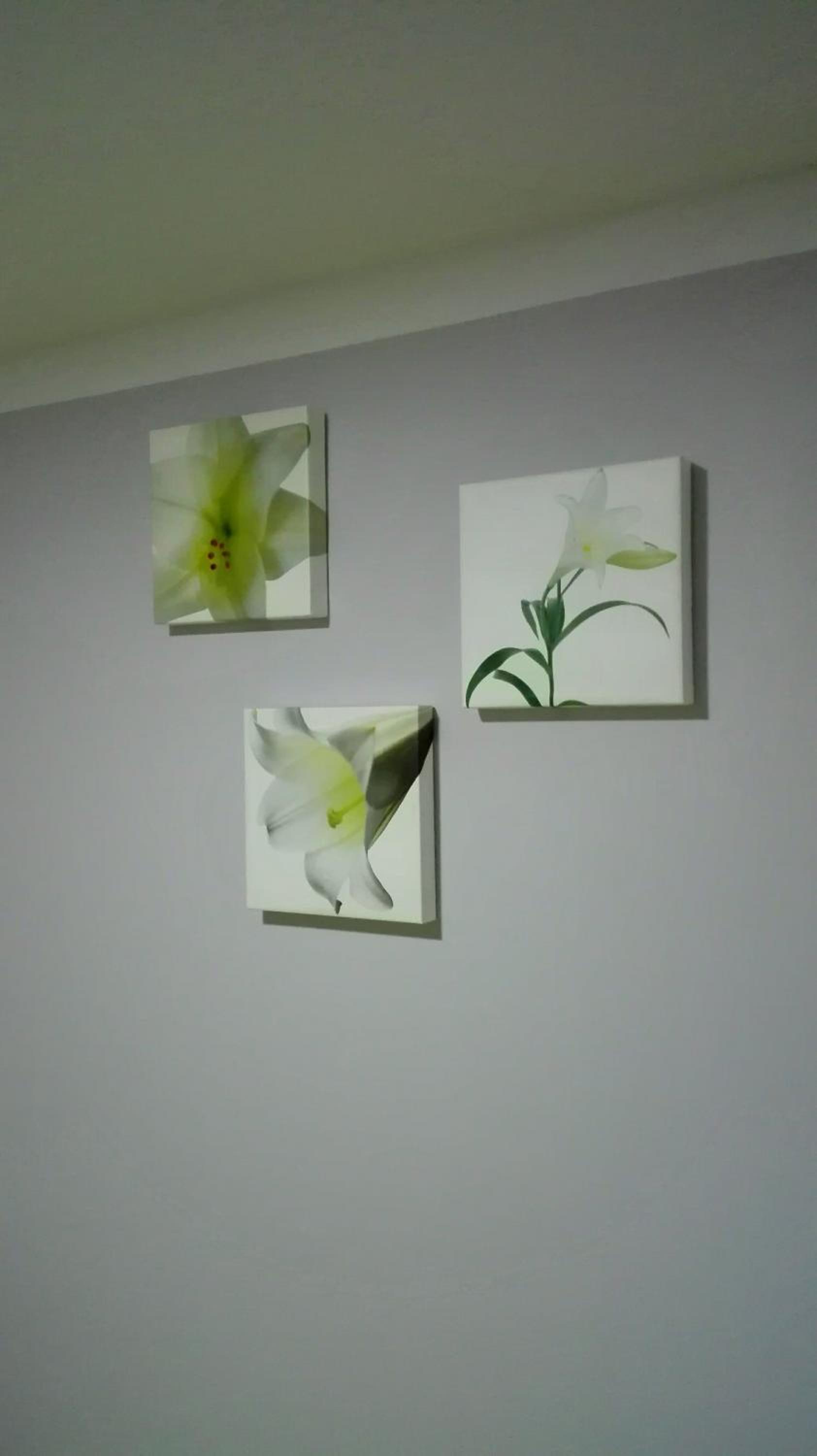 Standard Twin Room photo 3