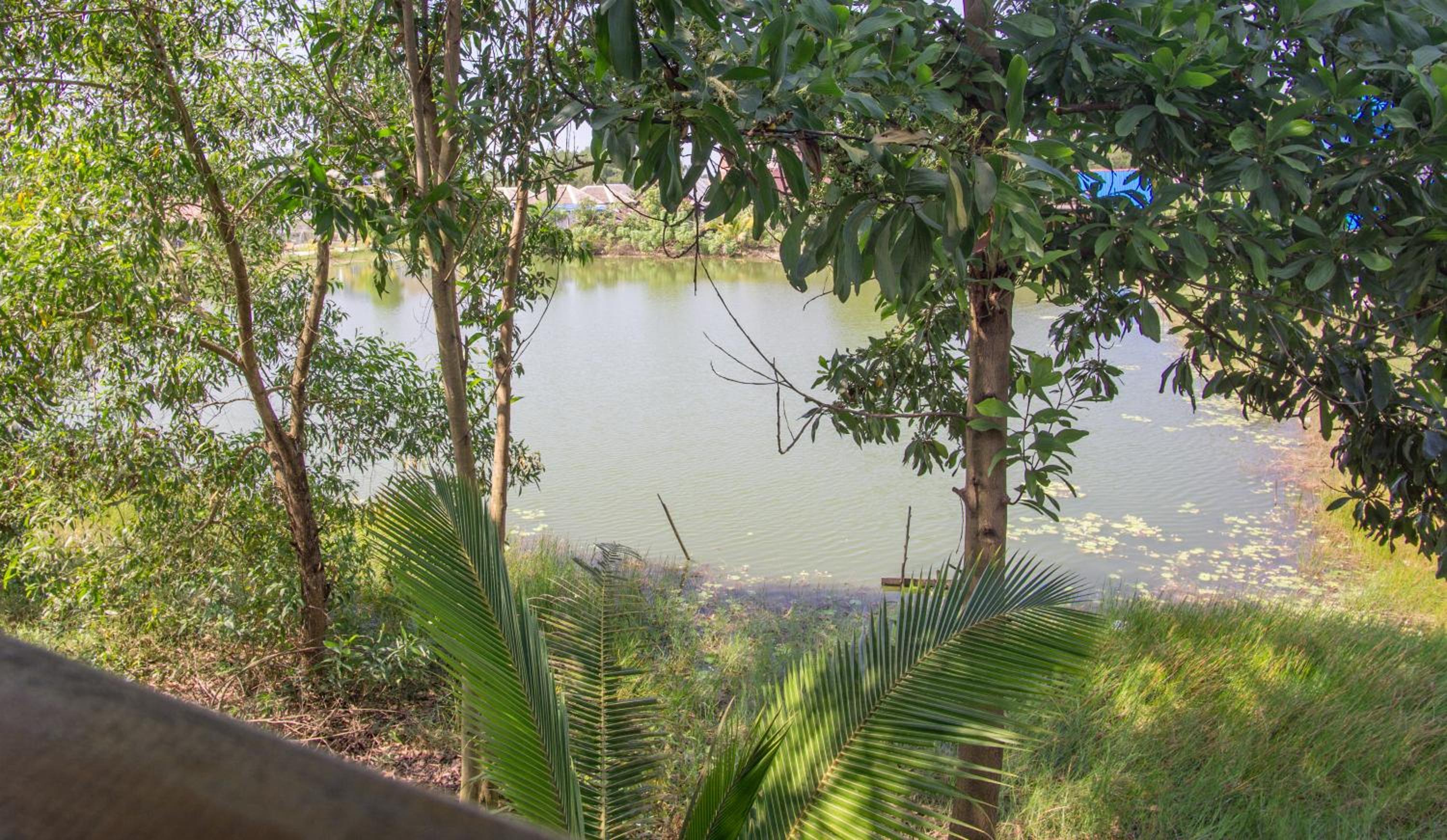 Triple Room with Lake View photo 3