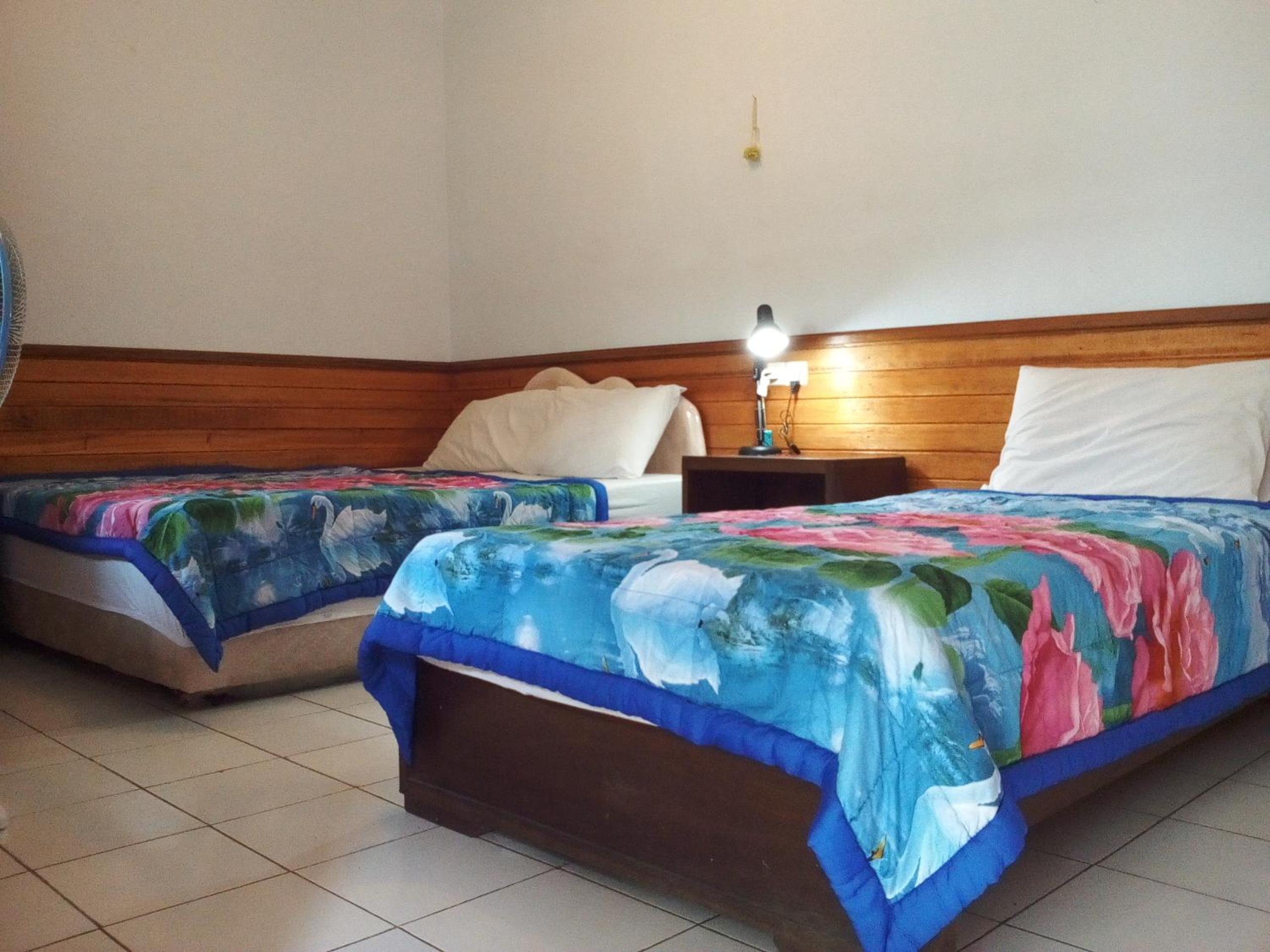 Double or Twin Room - Photo 10
