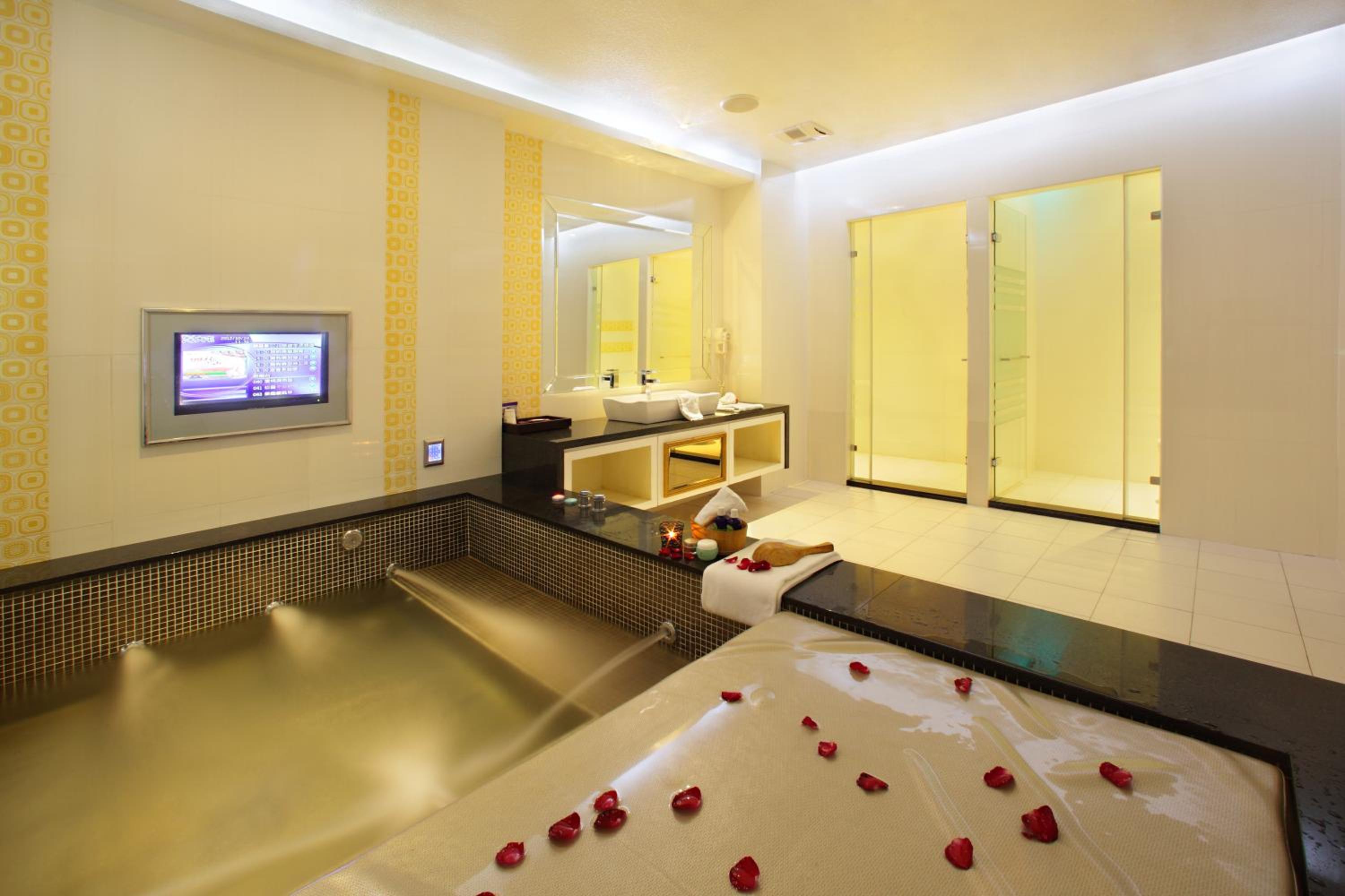 Premier Double Room with KTV photo 3