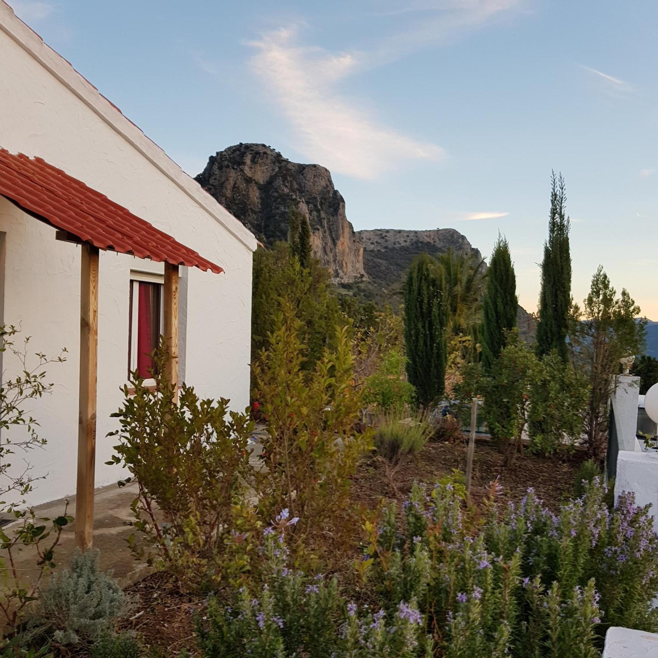 Bungalow photo 2