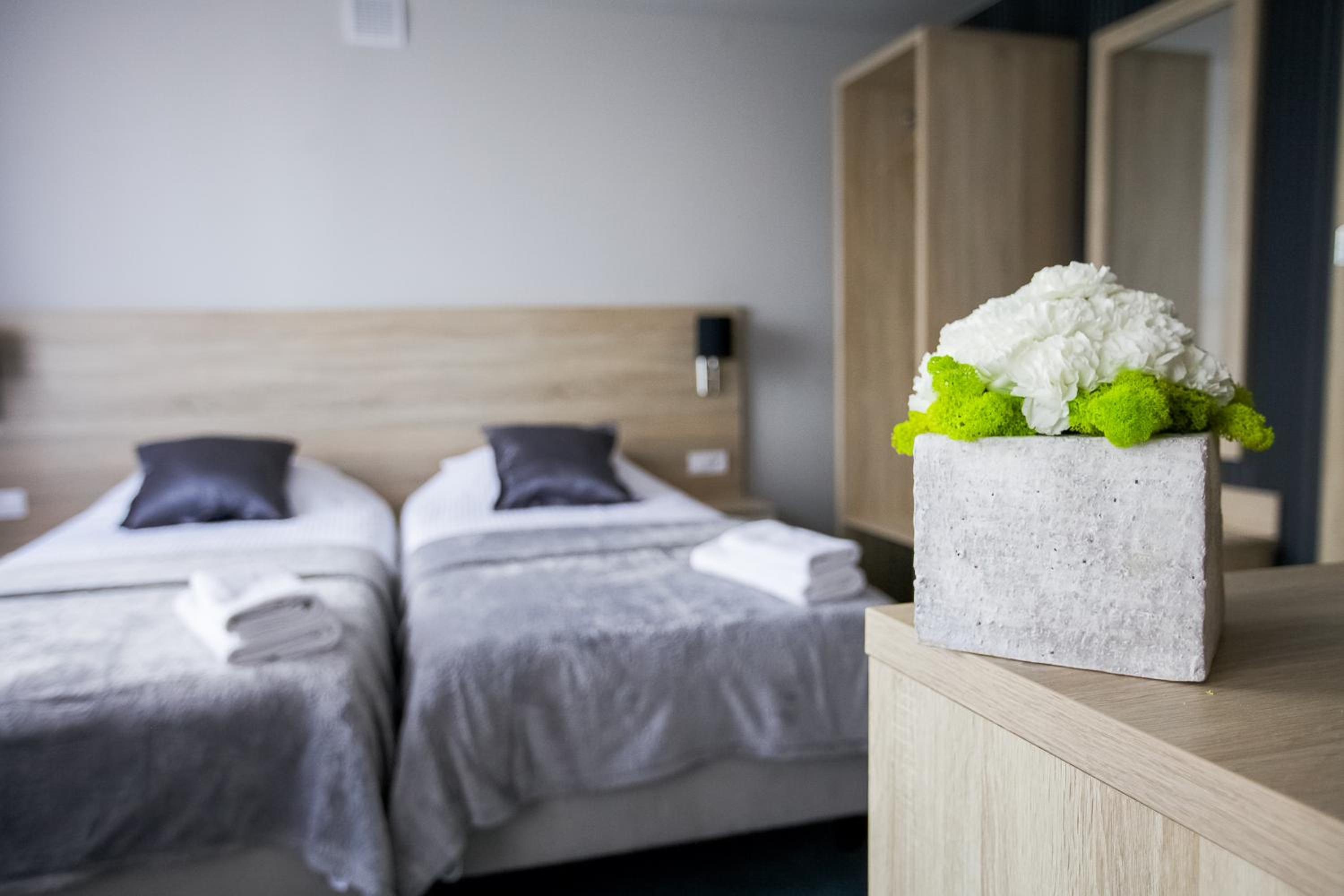 Standard Twin Room photo 1