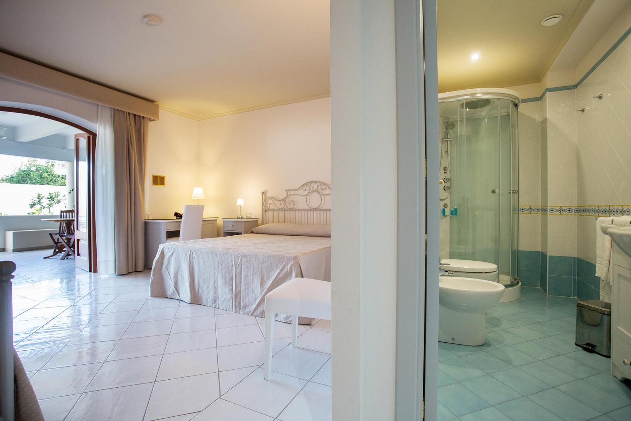Standard Double or Twin Room