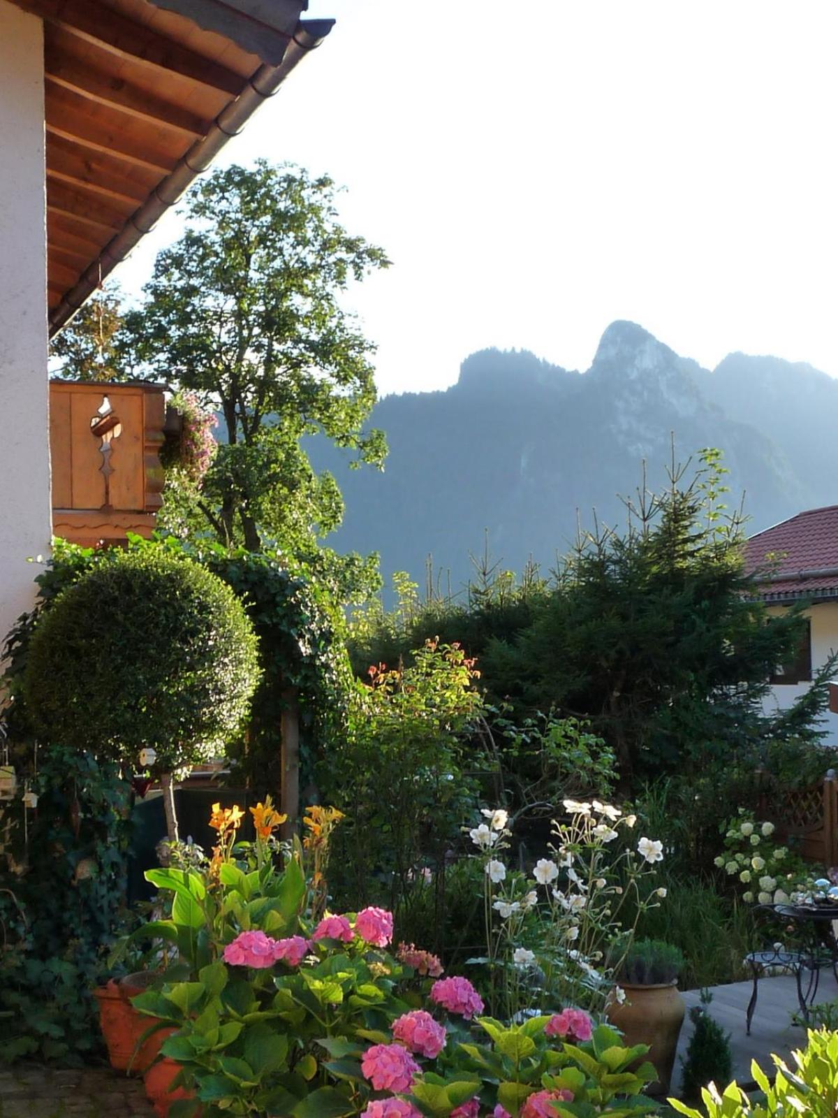 Apartment with Mountain View photo 2
