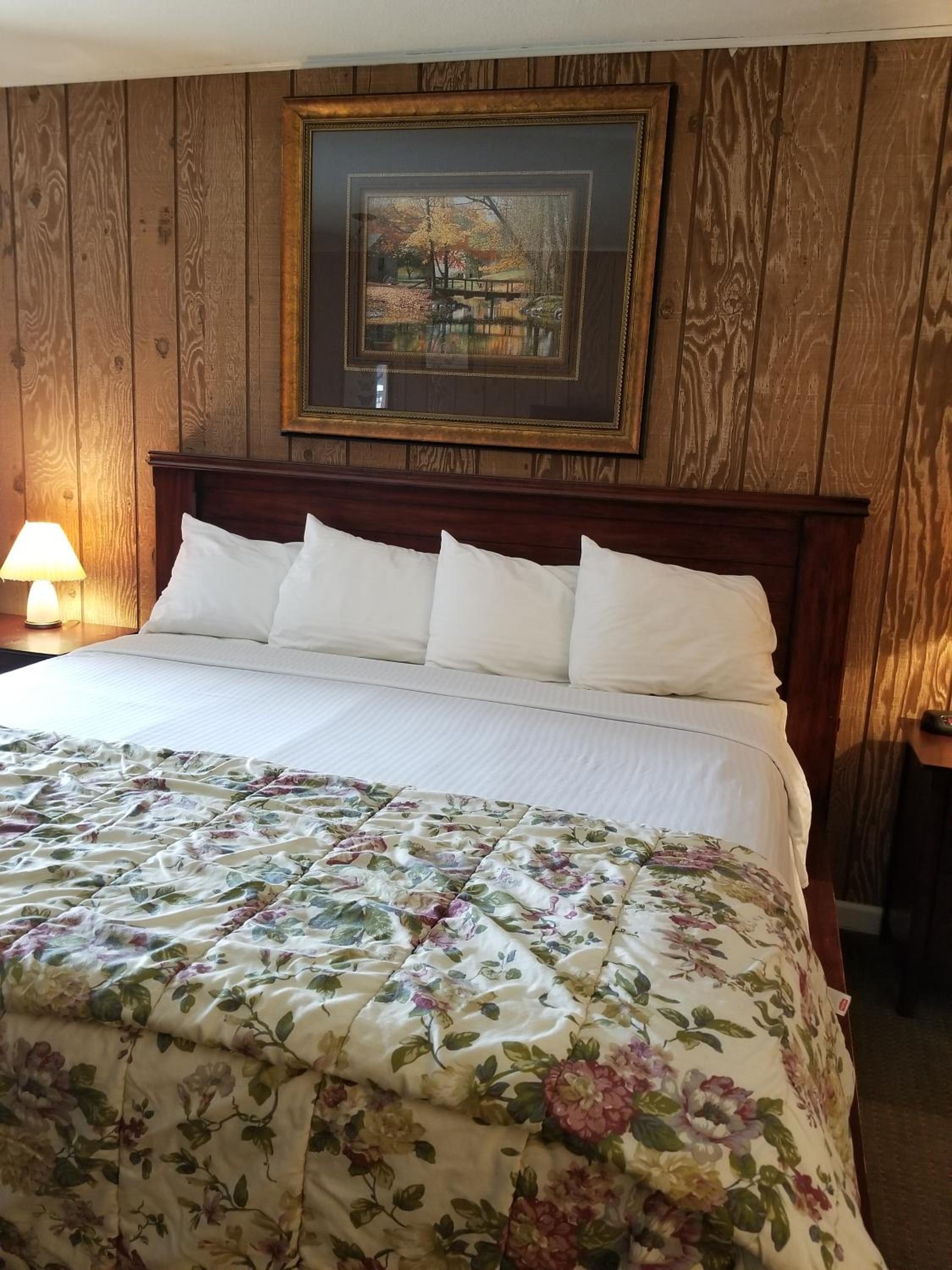 Gold Pan Lodge, Billede 2