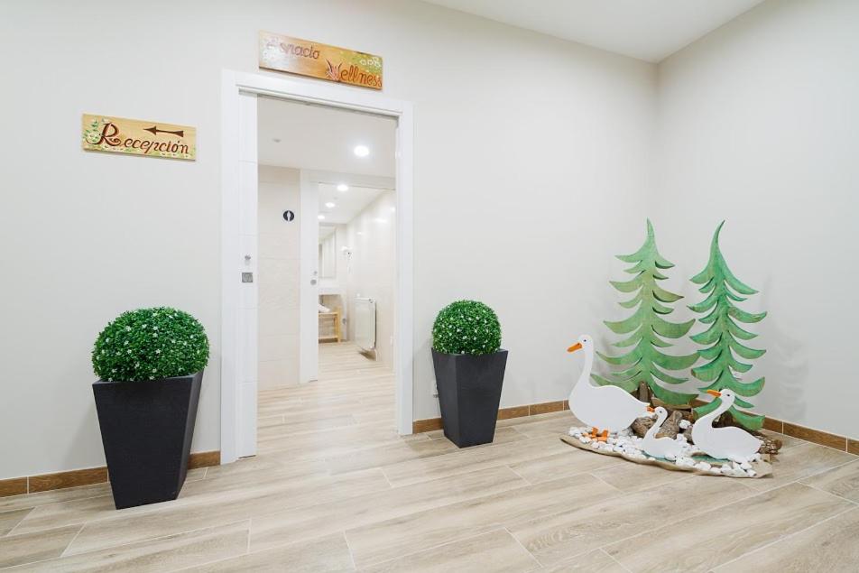 Double or Twin Room with Spa Access