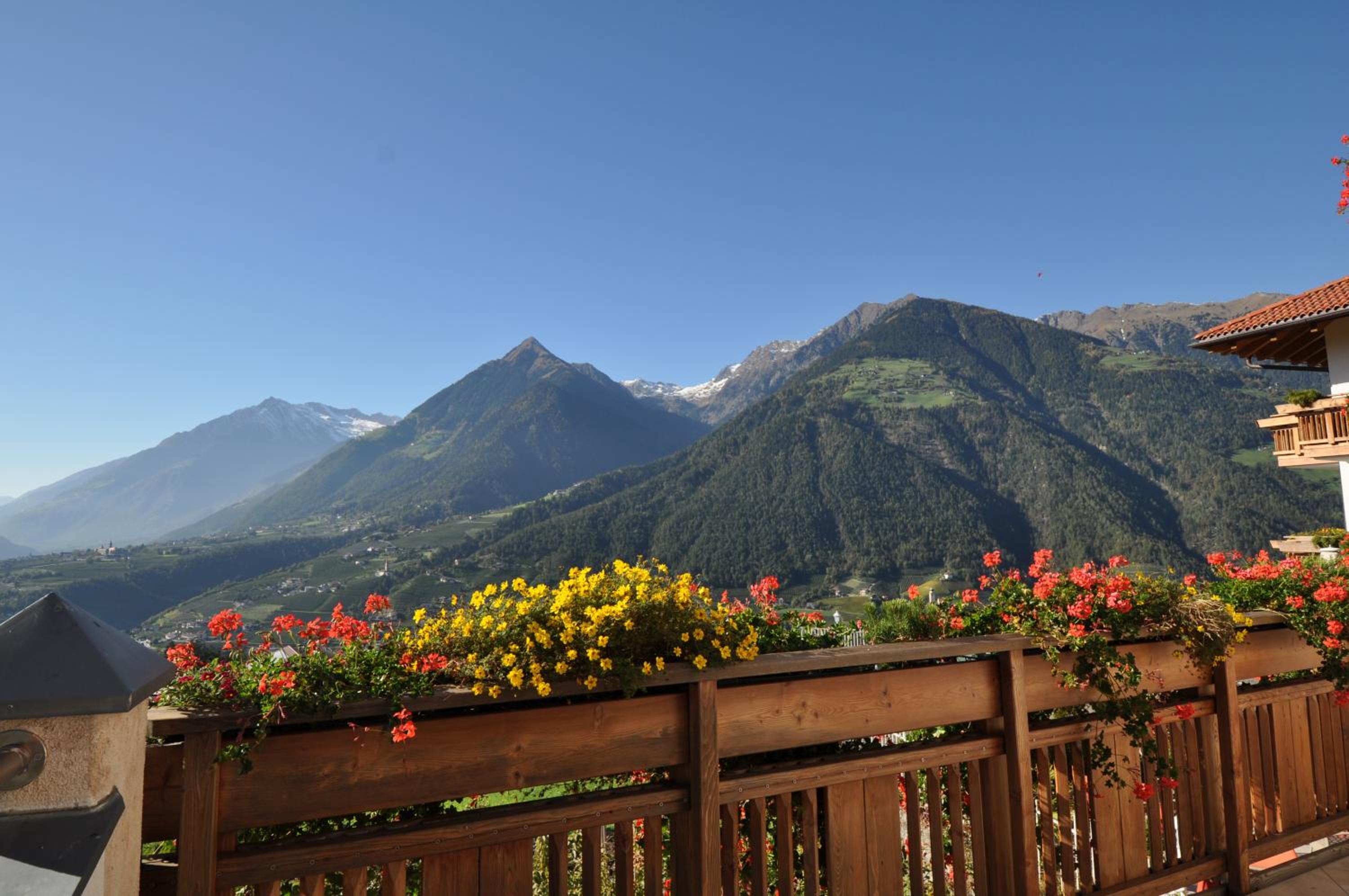 Deluxe Double or Twin Room with Balcony photo 2