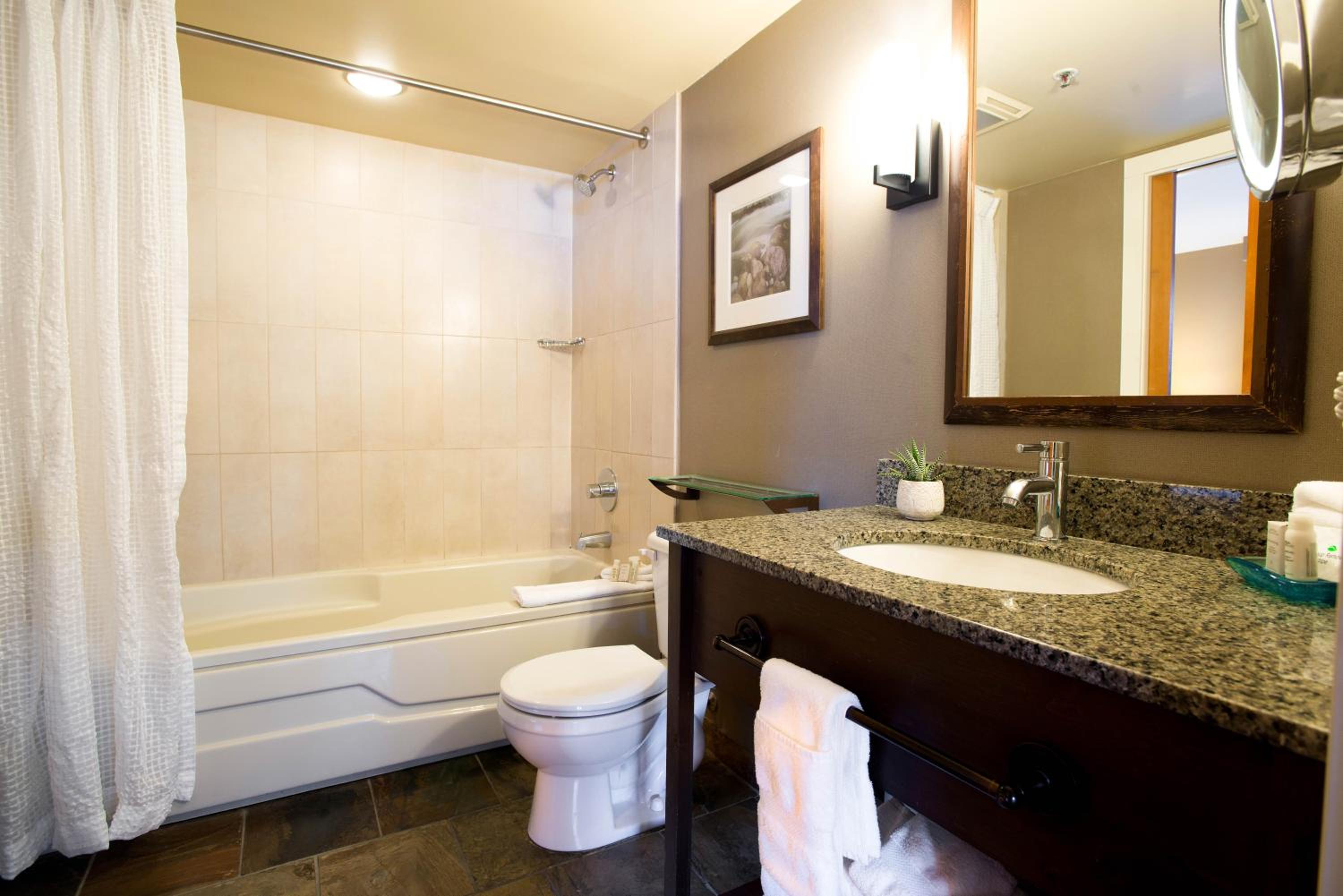 One Bedroom Suite with Valley View - Photo 3