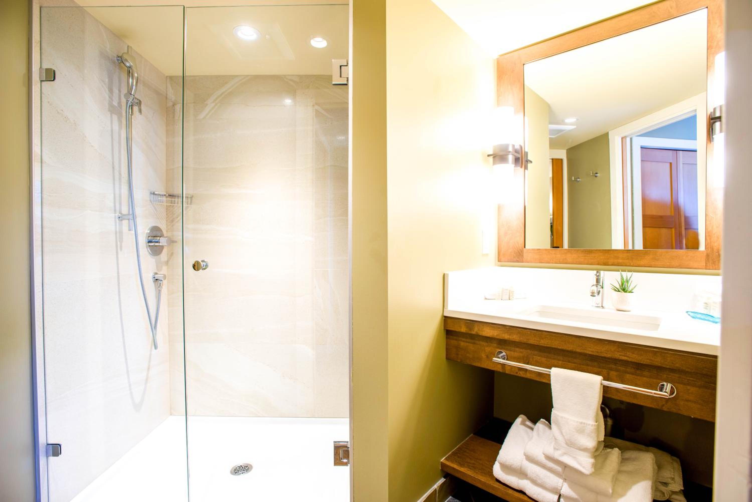Two-Bedroom Premium Suite with Mountain View - Photo 5