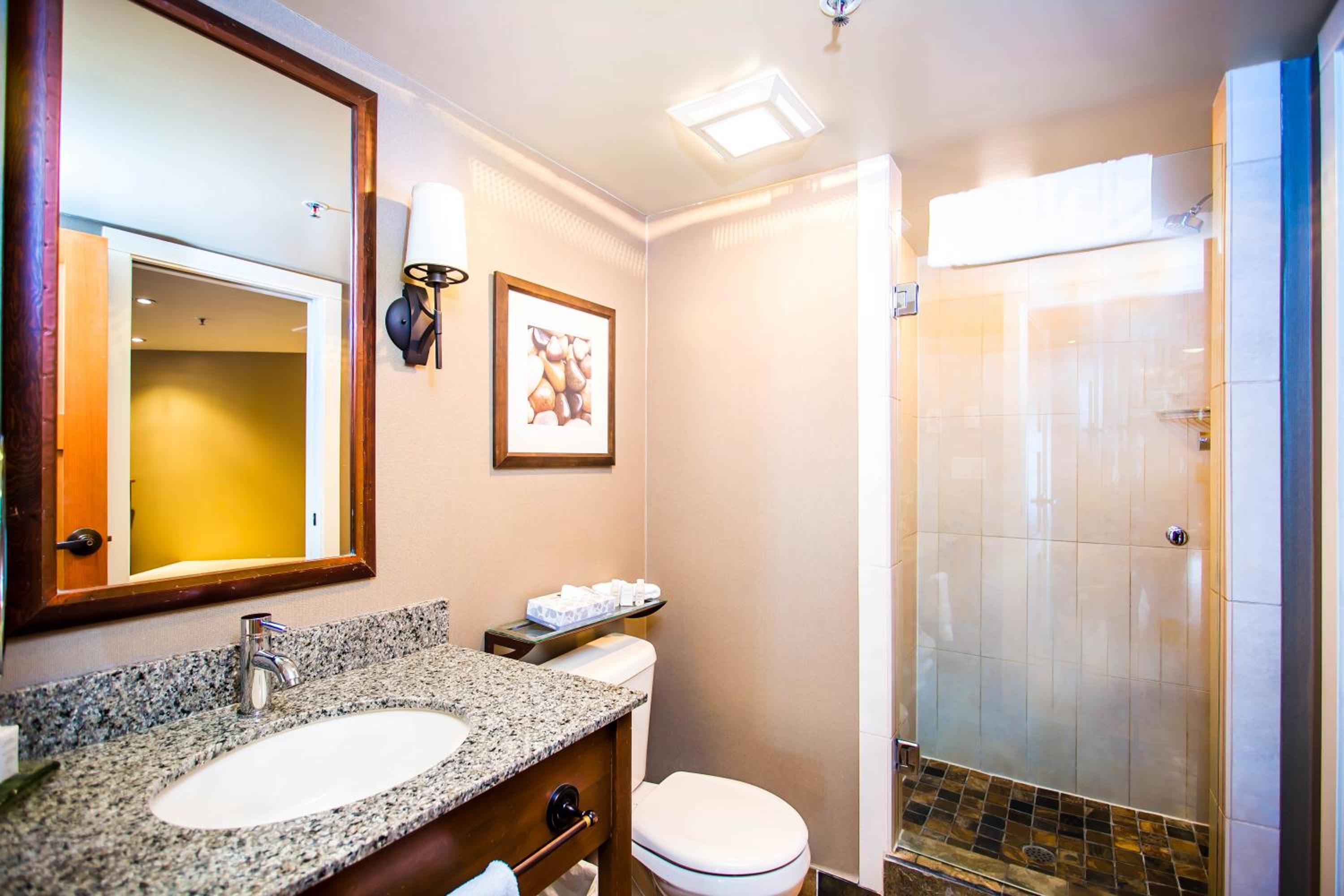 Two-Bedroom Premium Suite with Mountain View - Photo 2