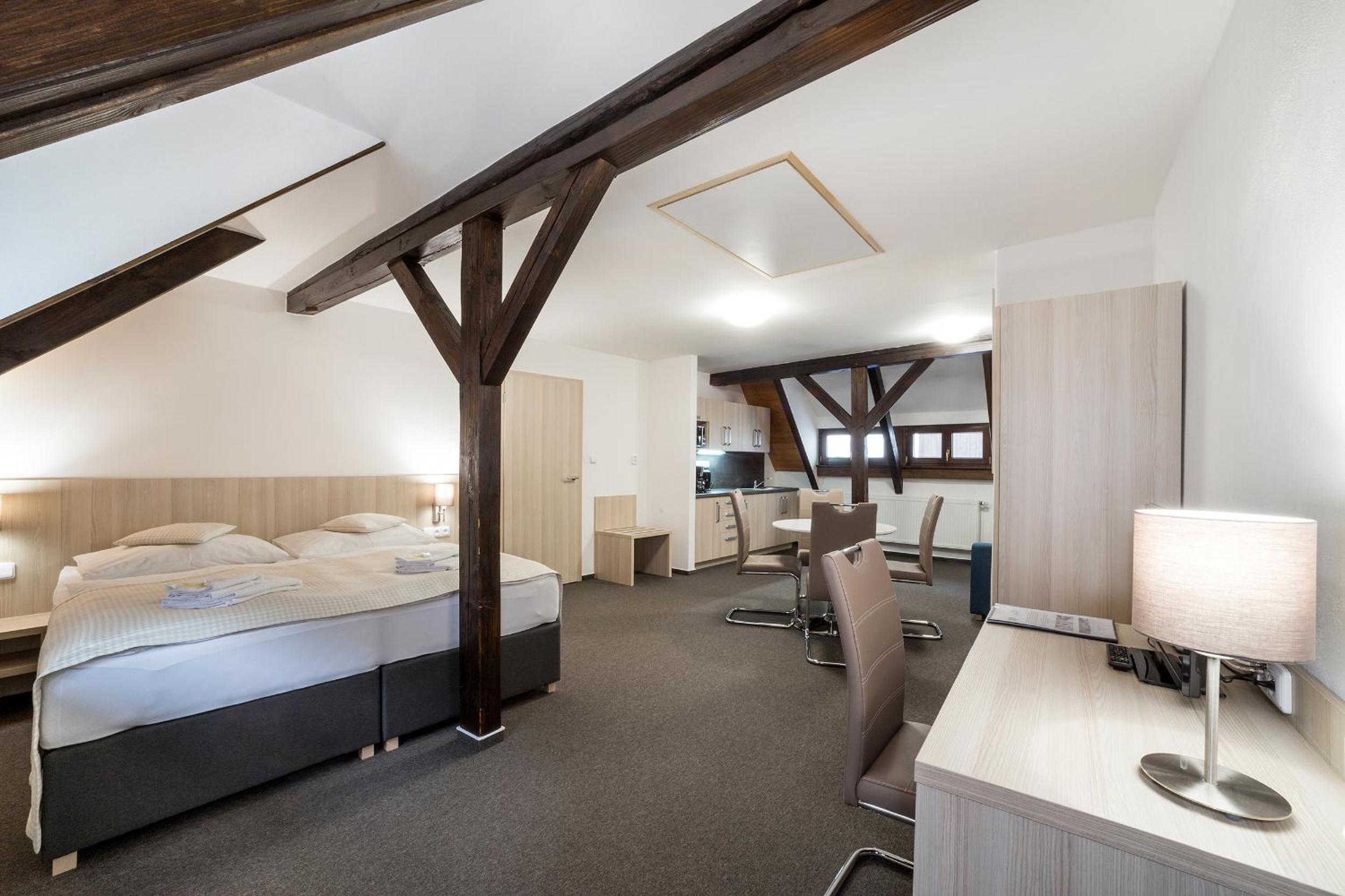 Large Attic Apartment